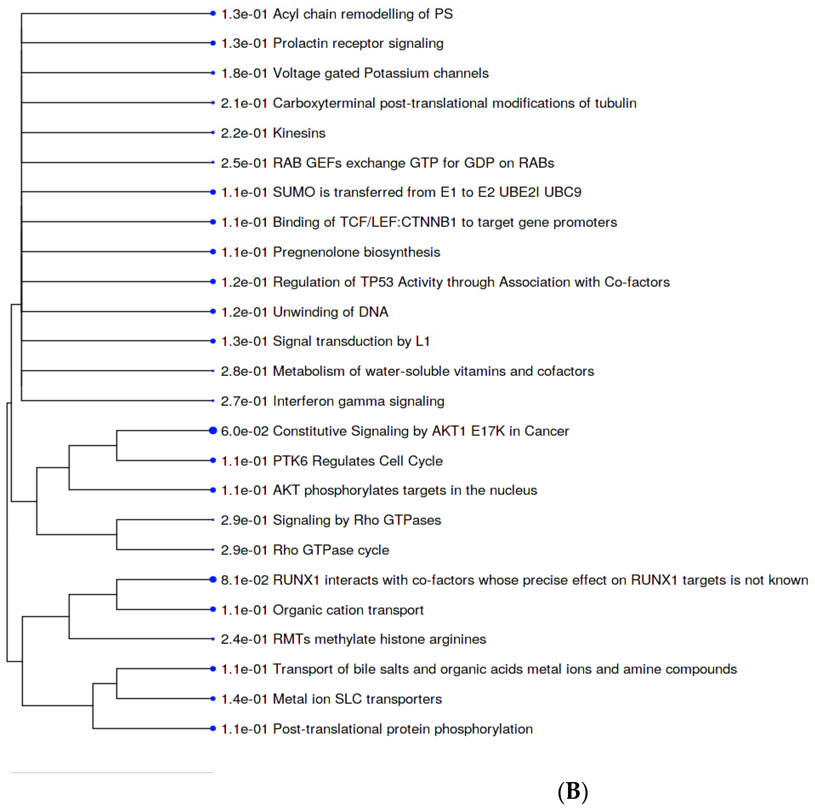 Metabolites 12 00464 g004b Metabolites 12 00464 g004b