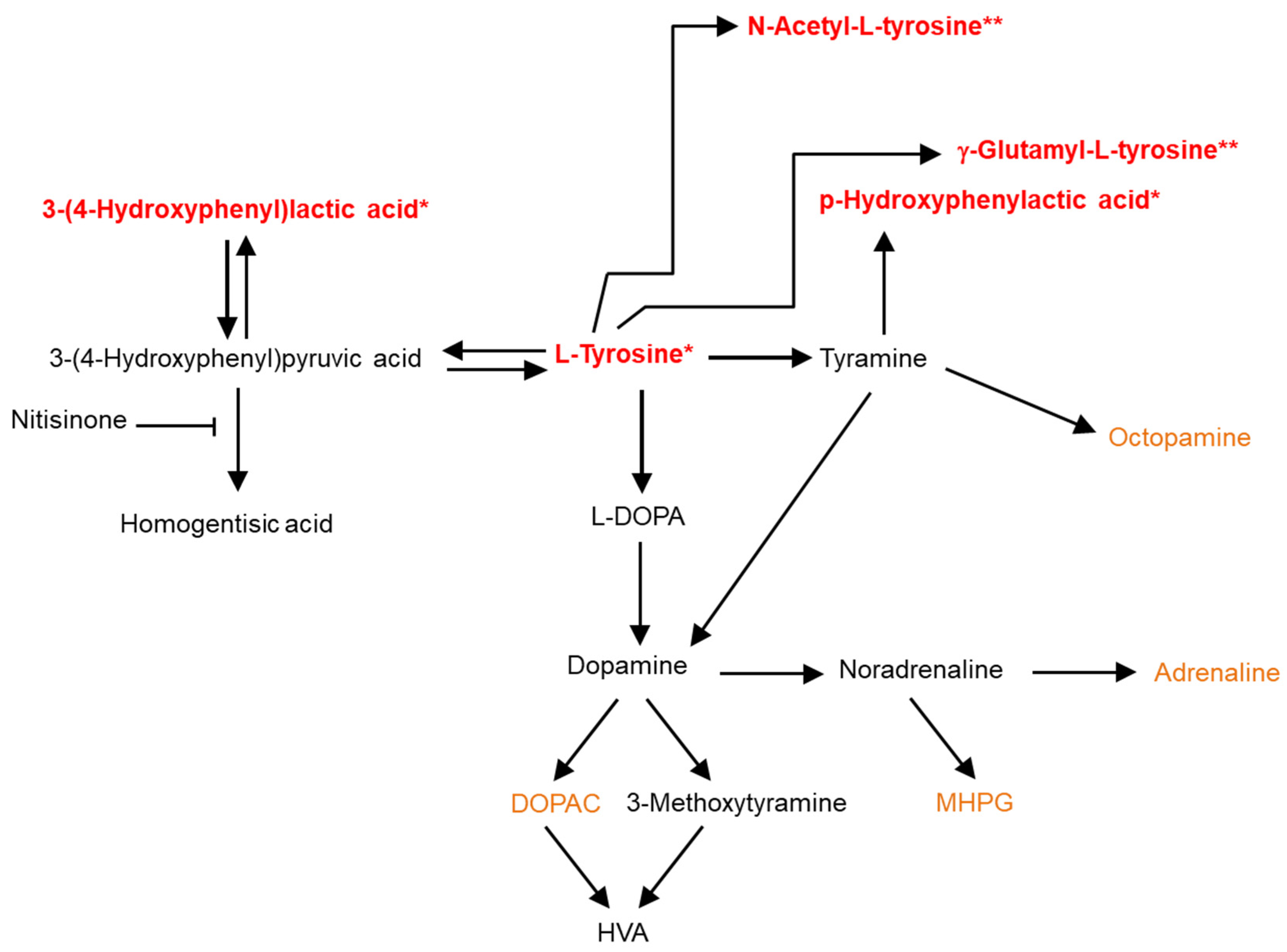 Metabolites 12 00477 g004