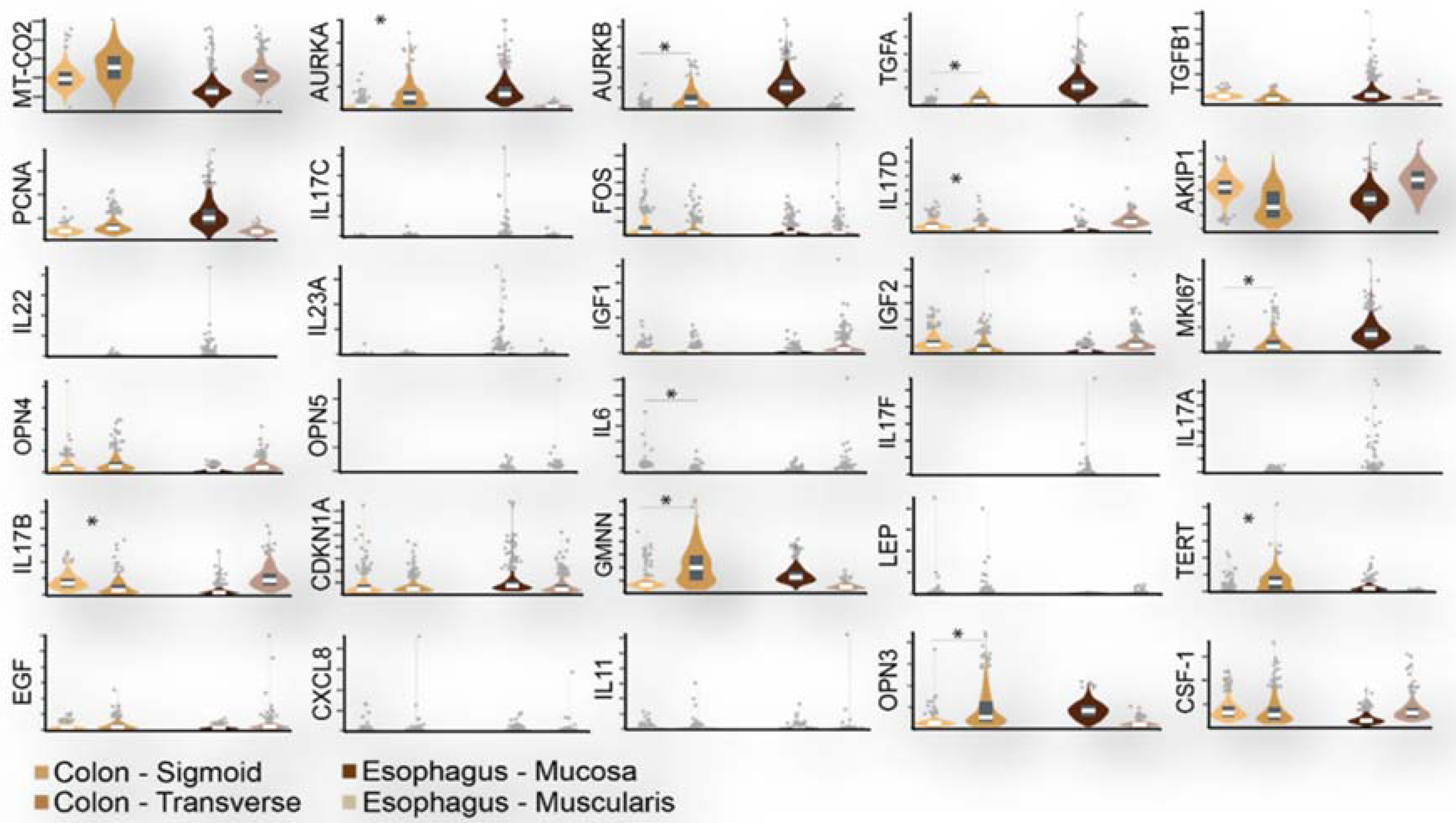 Metabolites 12 00499 g003