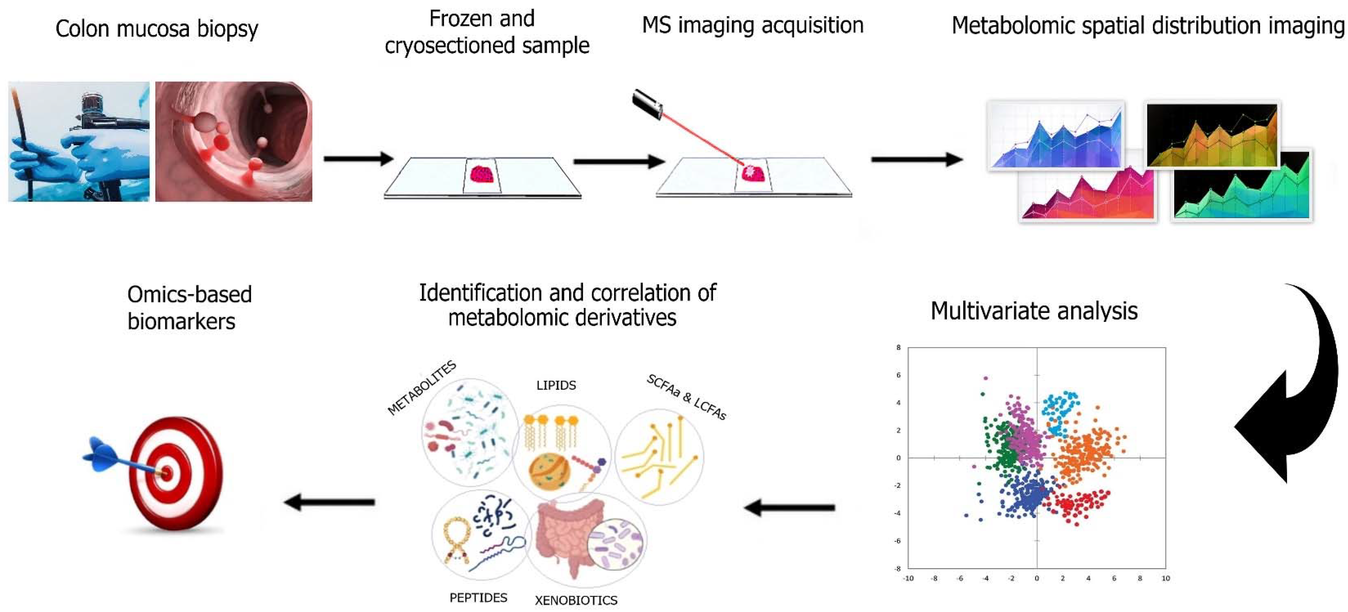 Metabolites 12 00499 g004