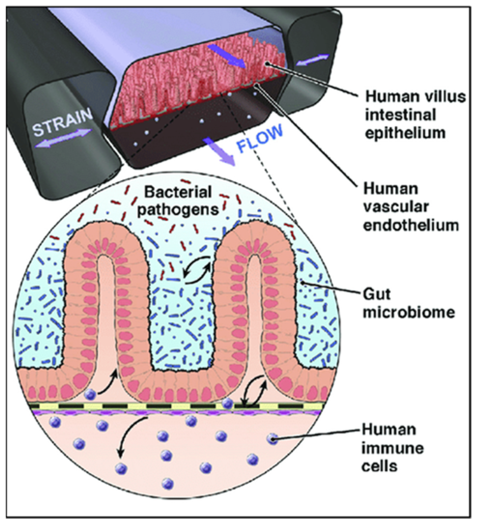 Metabolites 12 00499 g005
