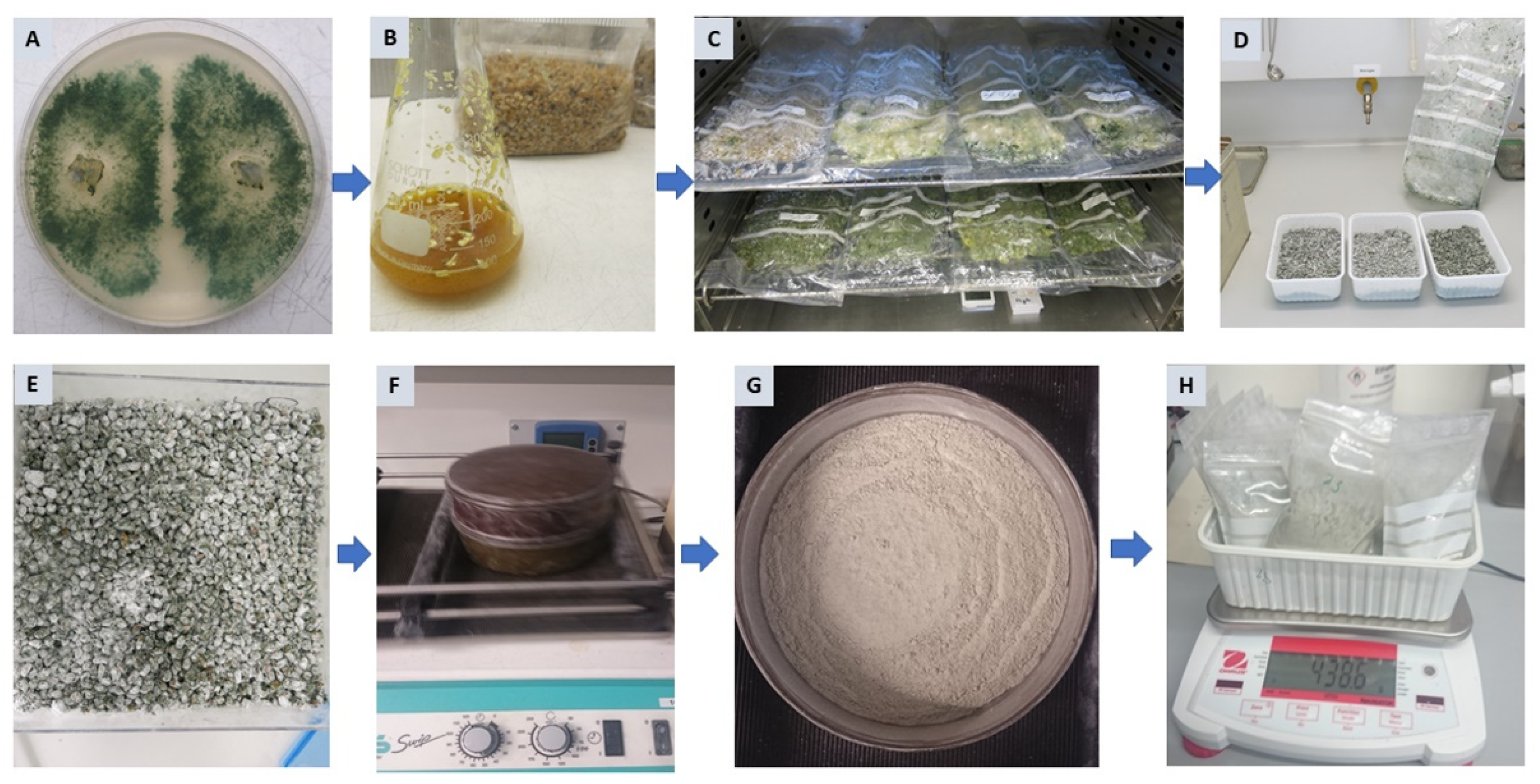 Metabolites 12 00507 g006