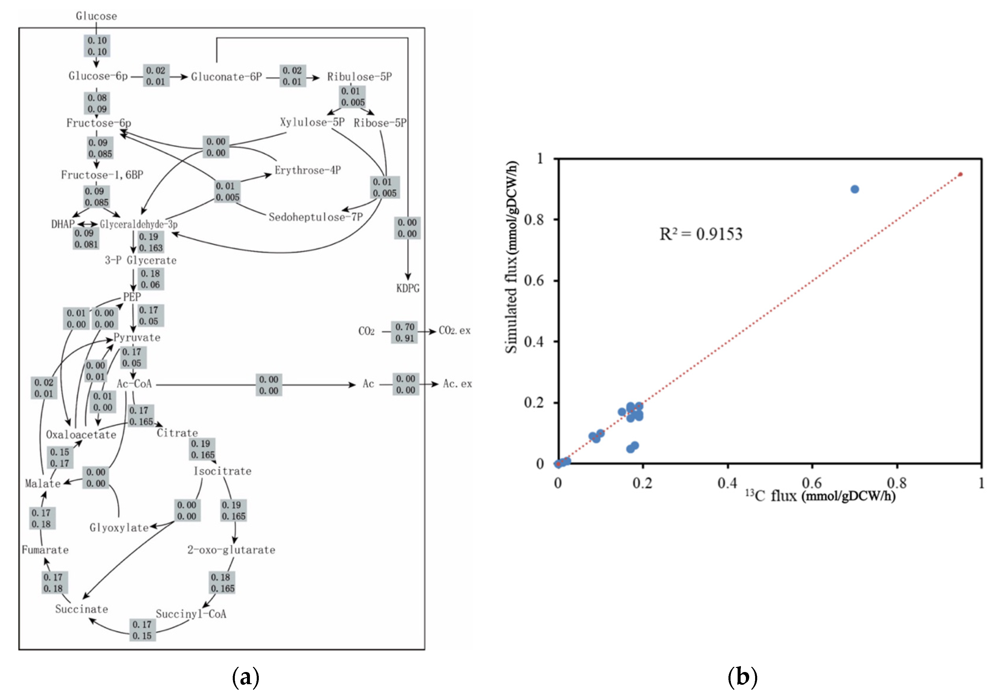 Metabolites 12 00509 g002