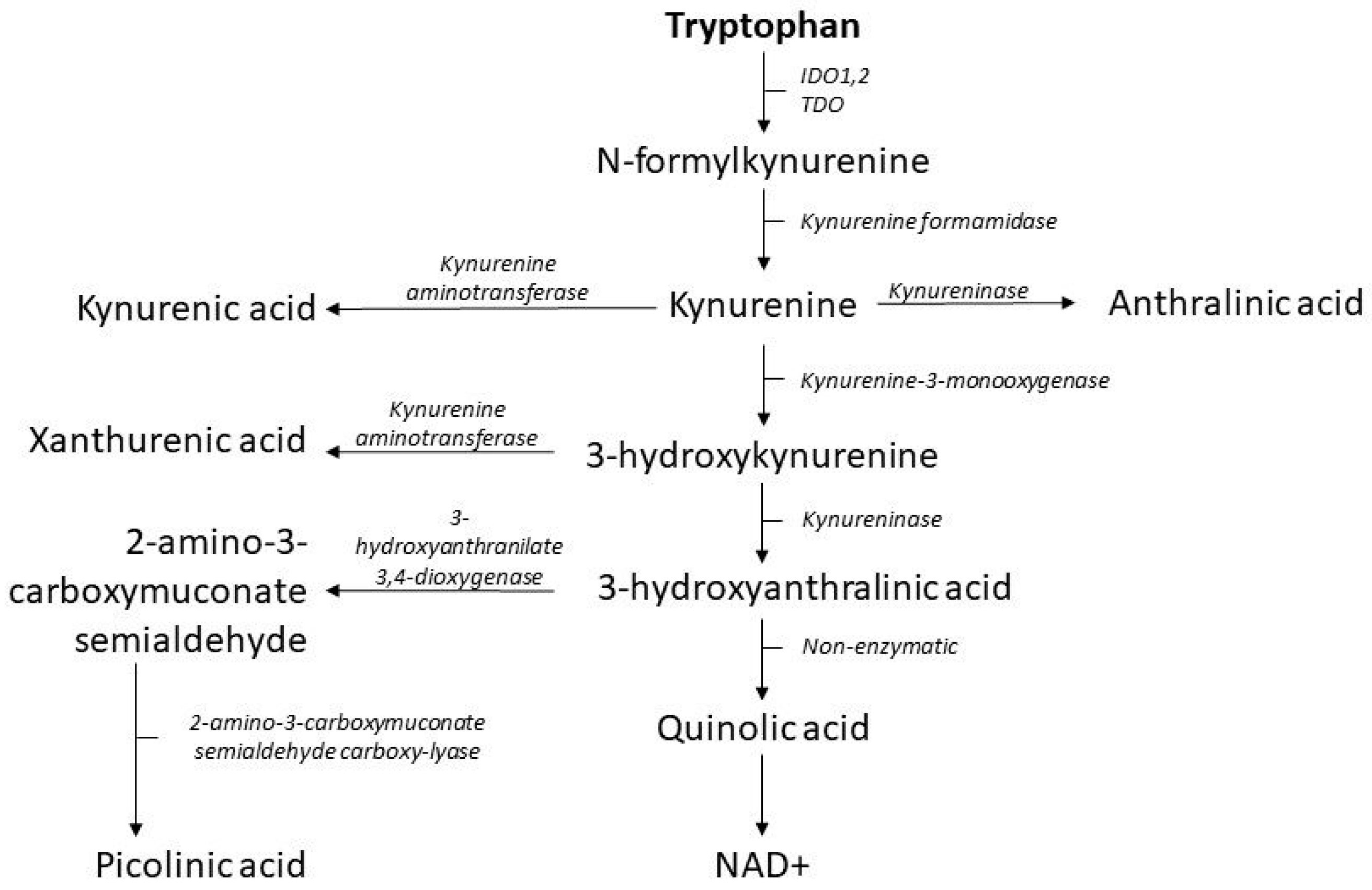 Metabolites 12 00514 g002