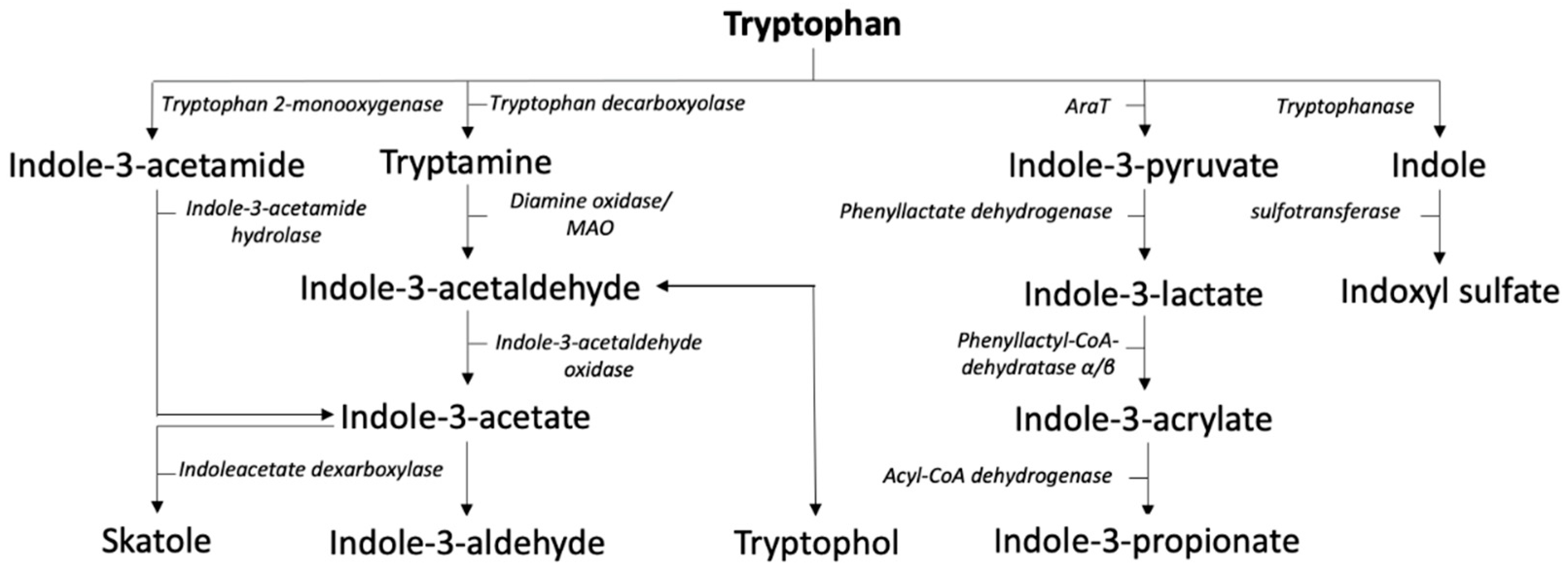 Metabolites 12 00514 g003