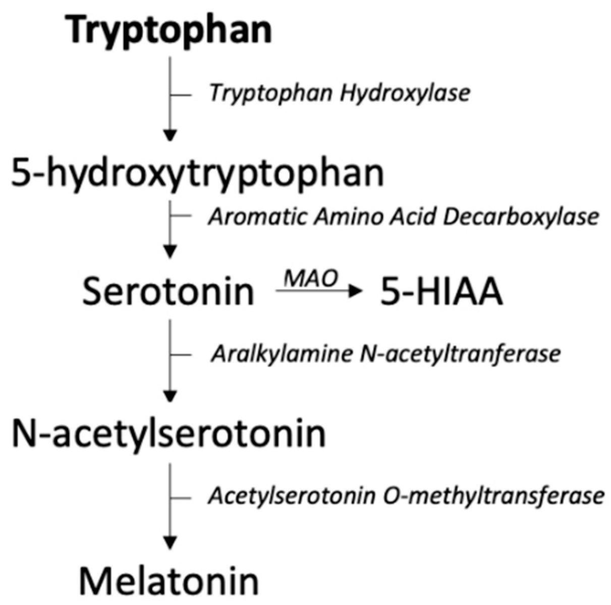 Metabolites 12 00514 g005