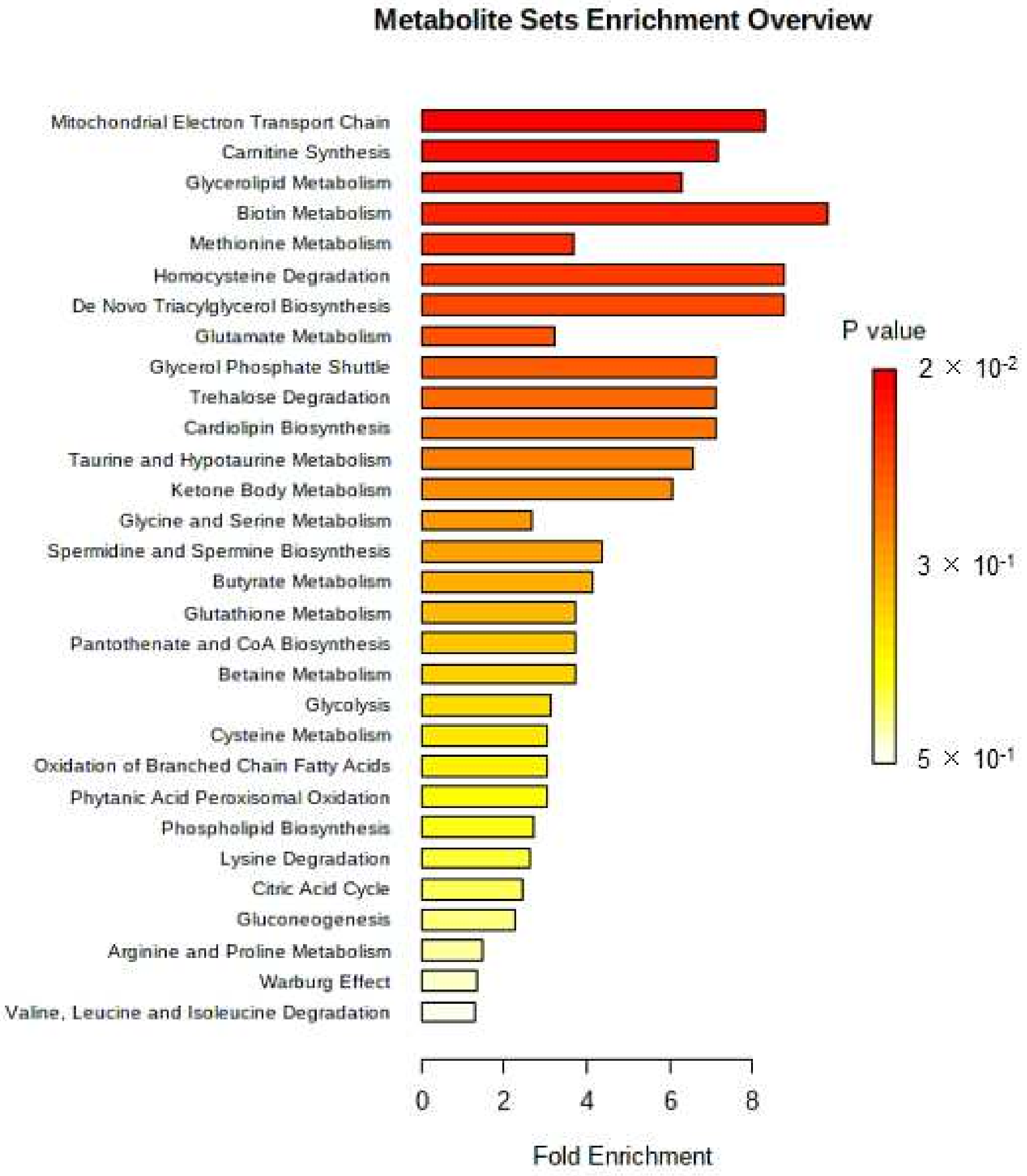 Metabolites 12 00529 g003