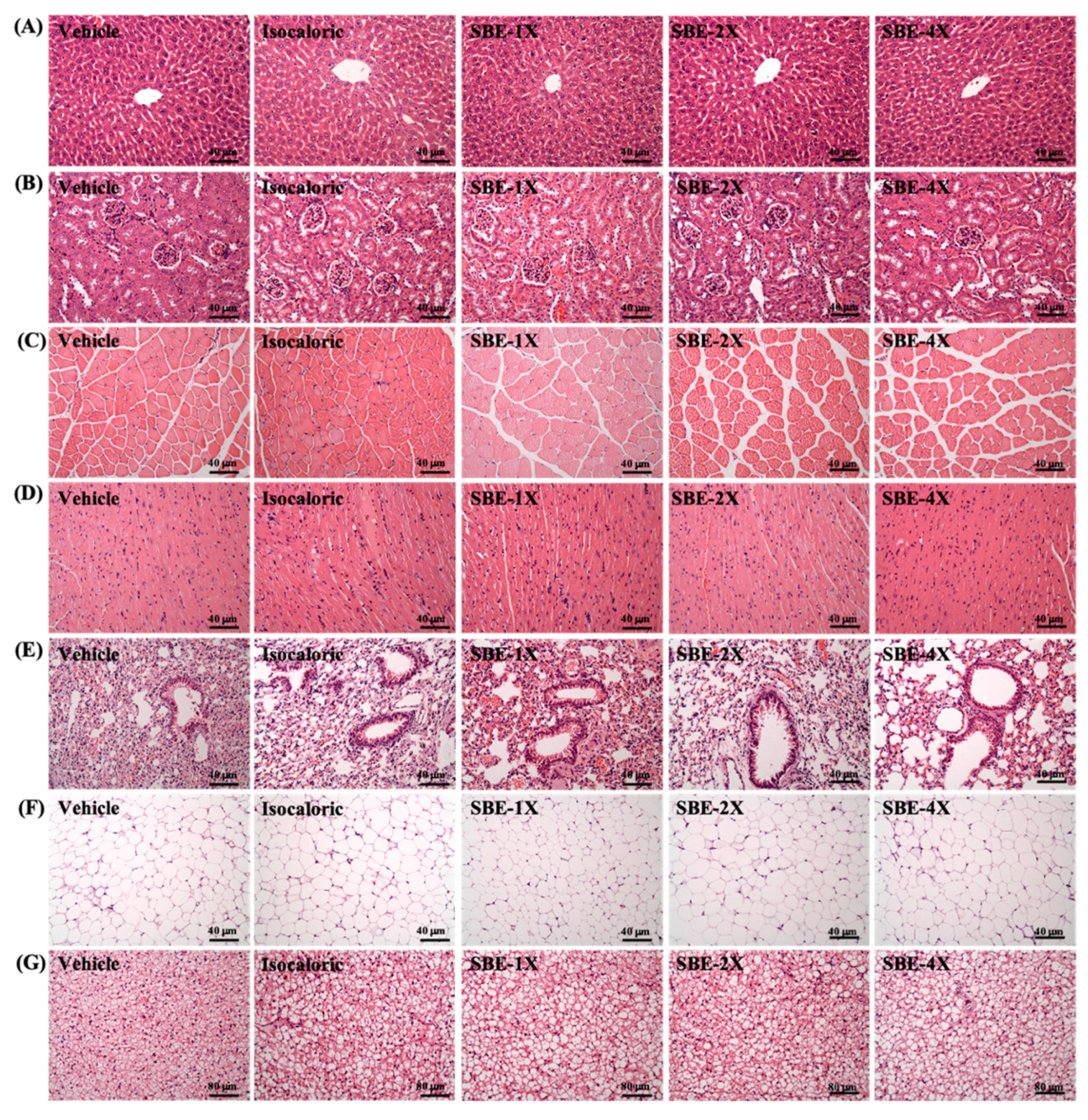 Metabolites 12 00531 g004