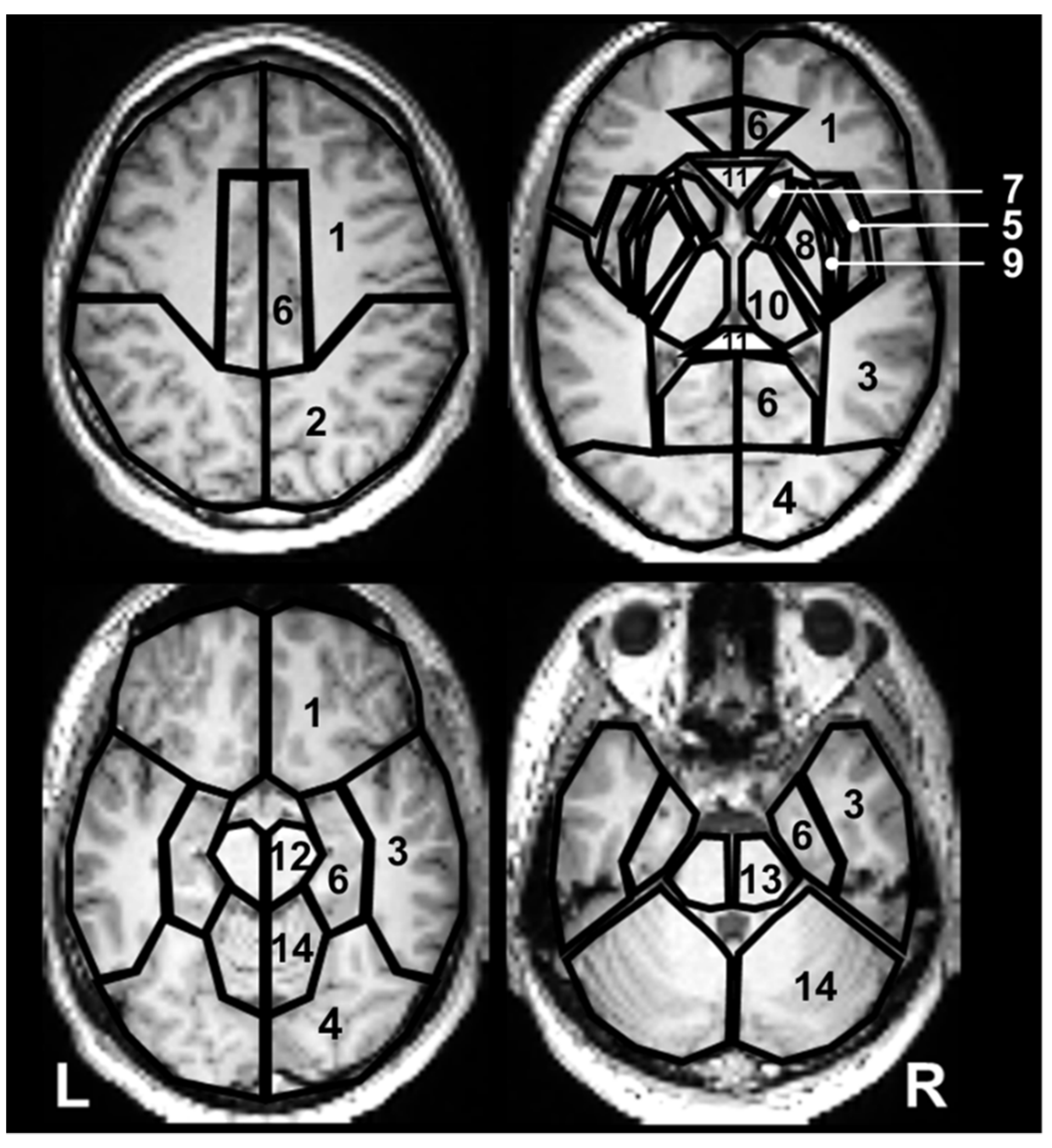 Metabolites 12 00543 g005