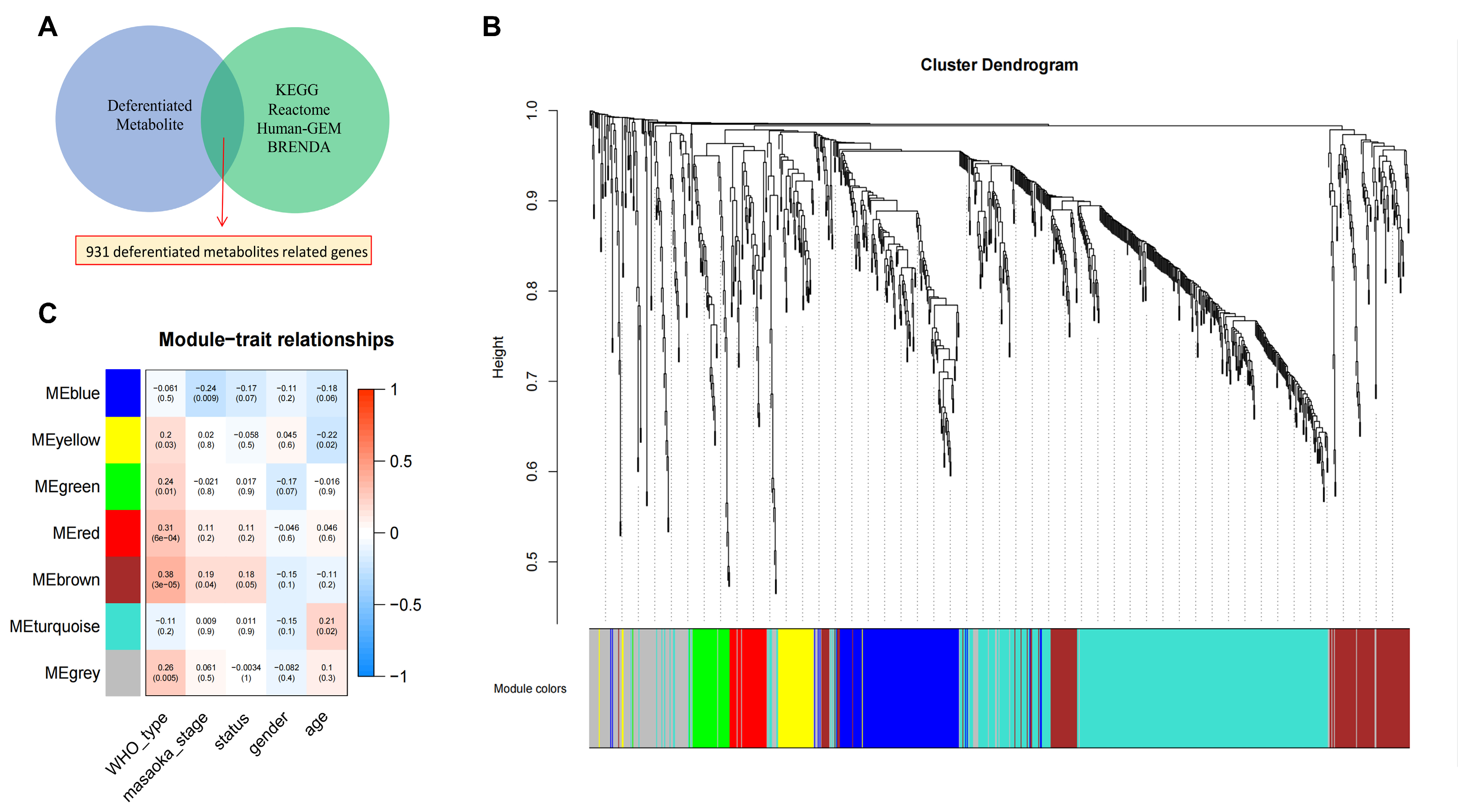 Metabolites 12 00567 g002