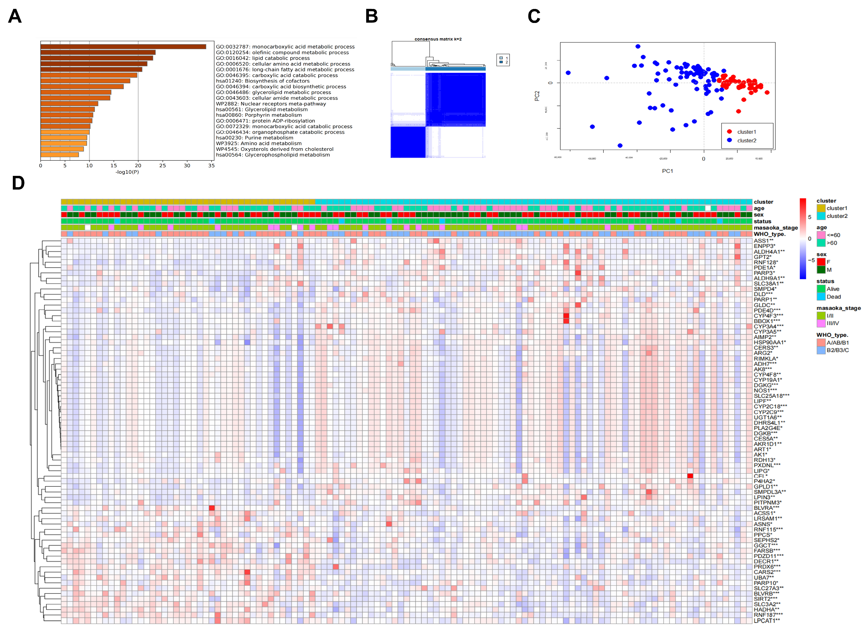 Metabolites 12 00567 g003