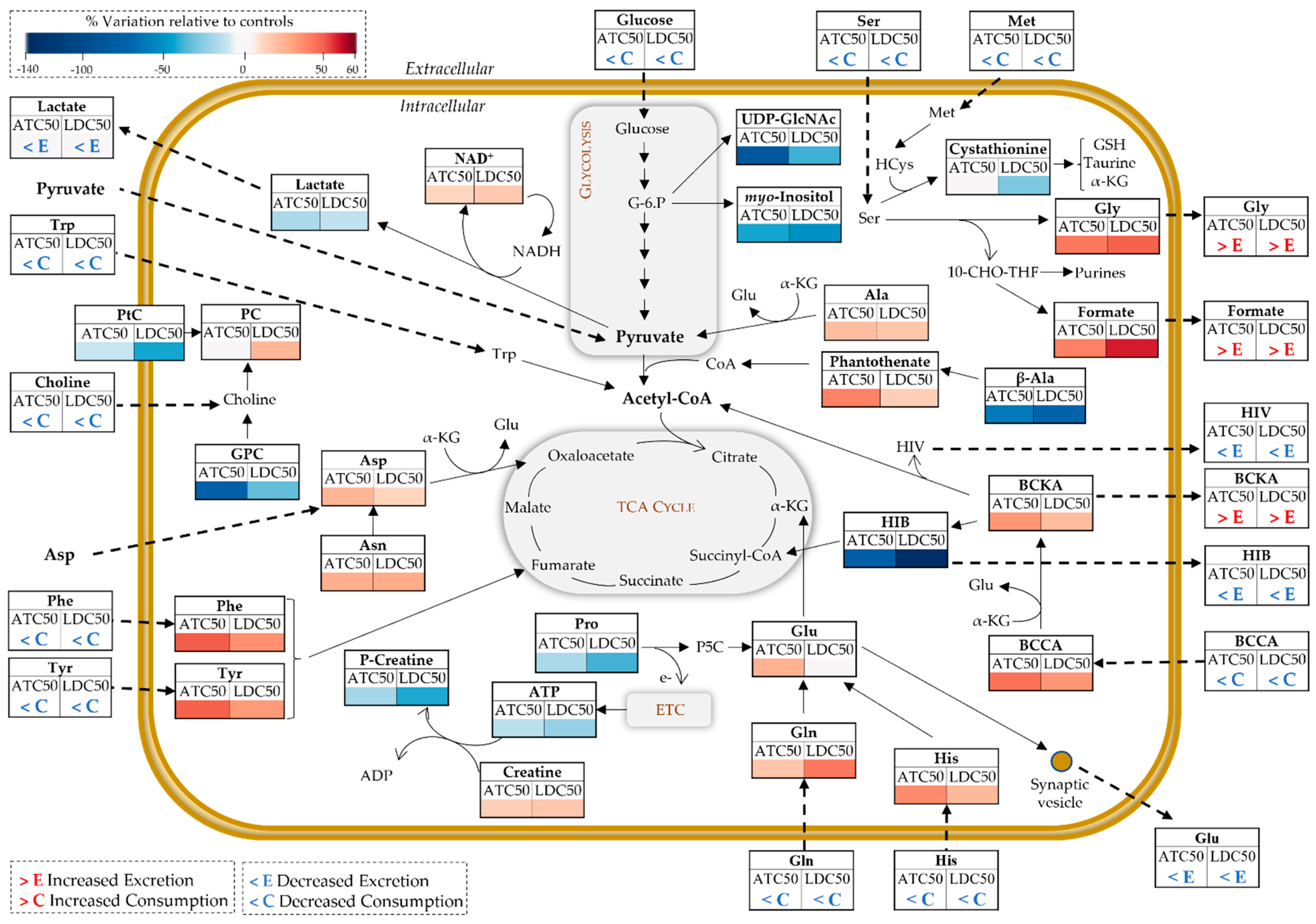Metabolites 12 00581 g007 Metabolites 12 00581 g007