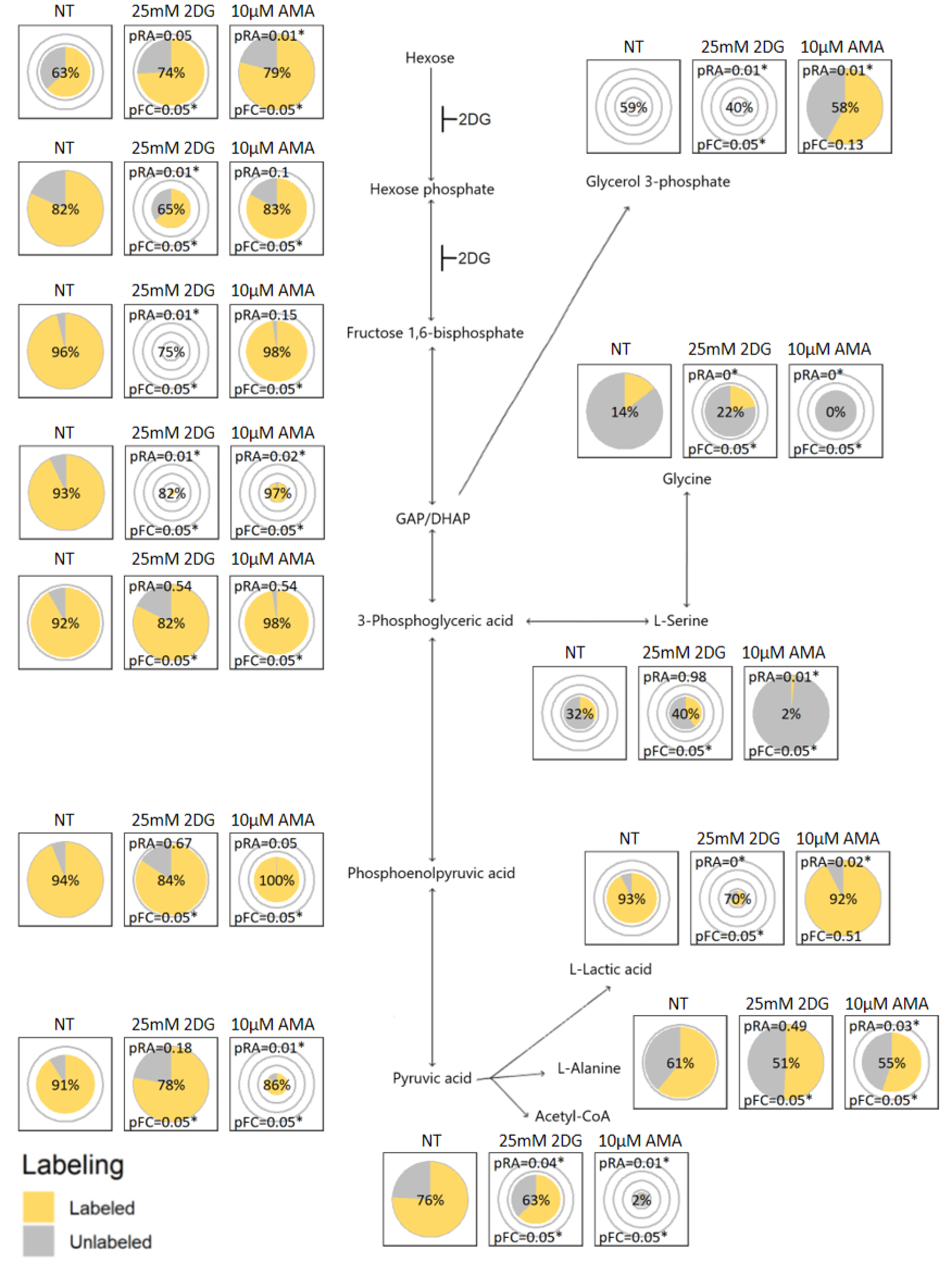 Metabolites 12 00593 g001
