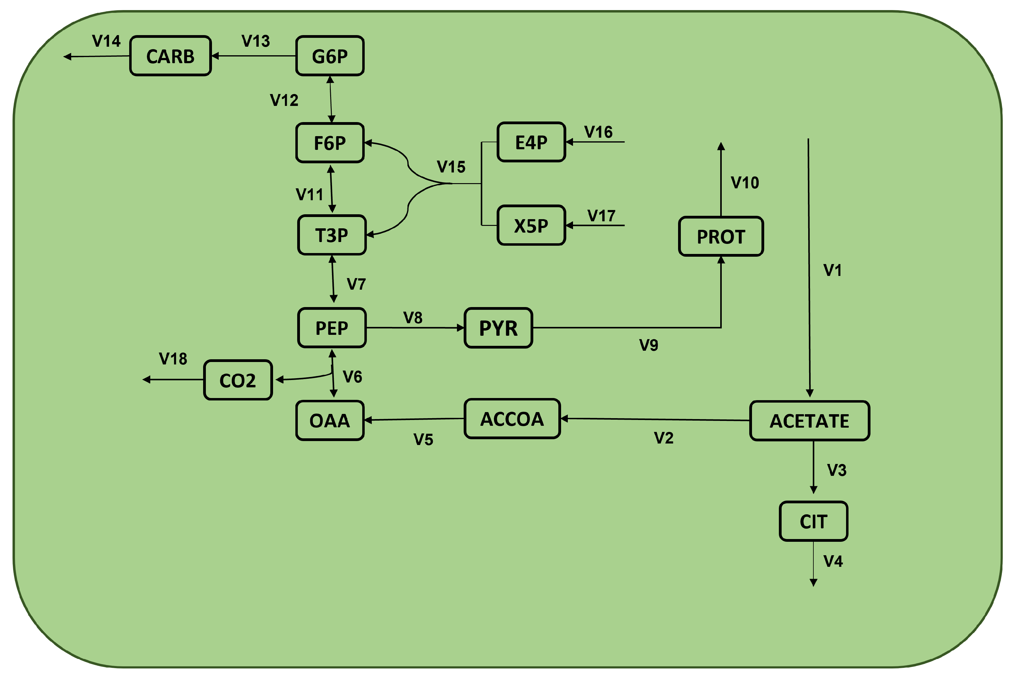 Metabolites 12 00603 g007