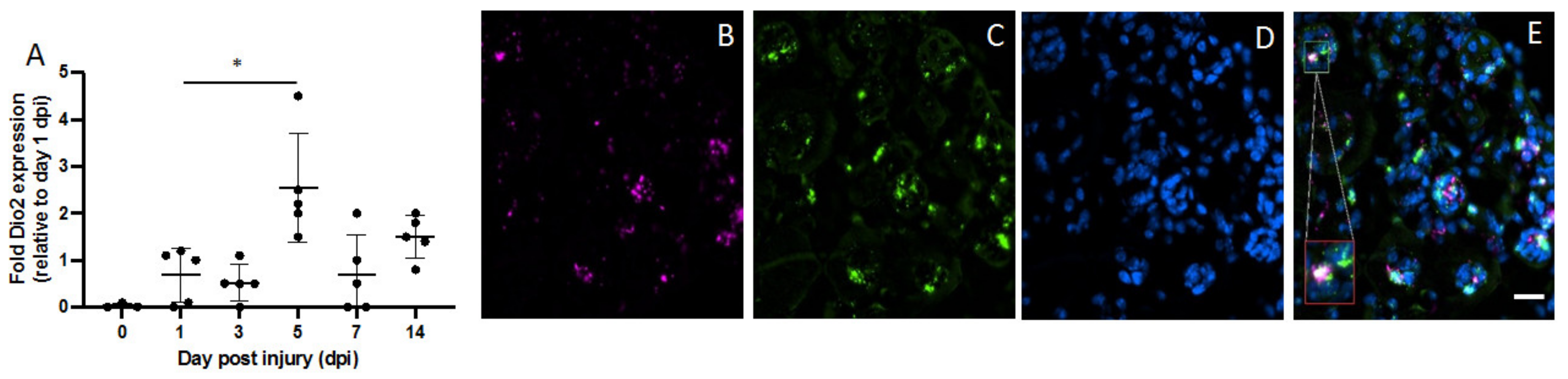 Metabolites 12 00612 g002