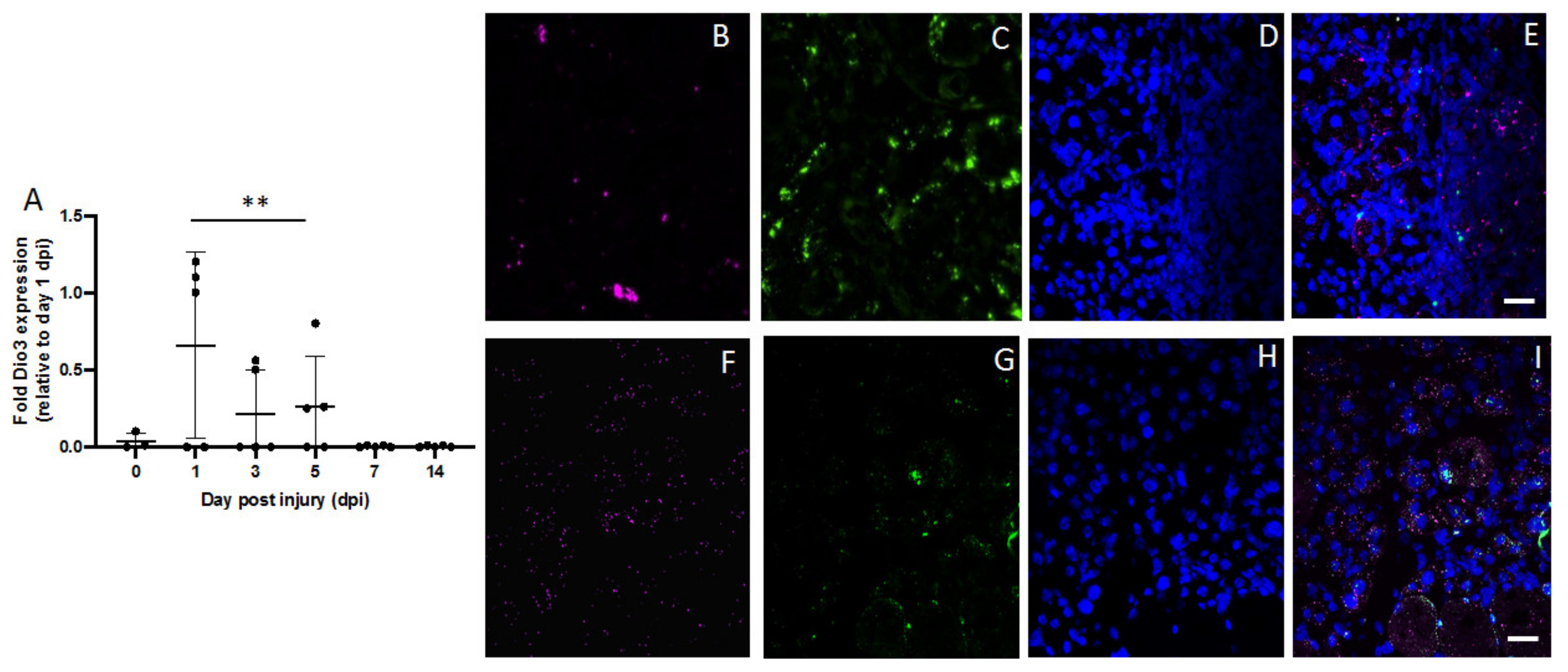 Metabolites 12 00612 g003