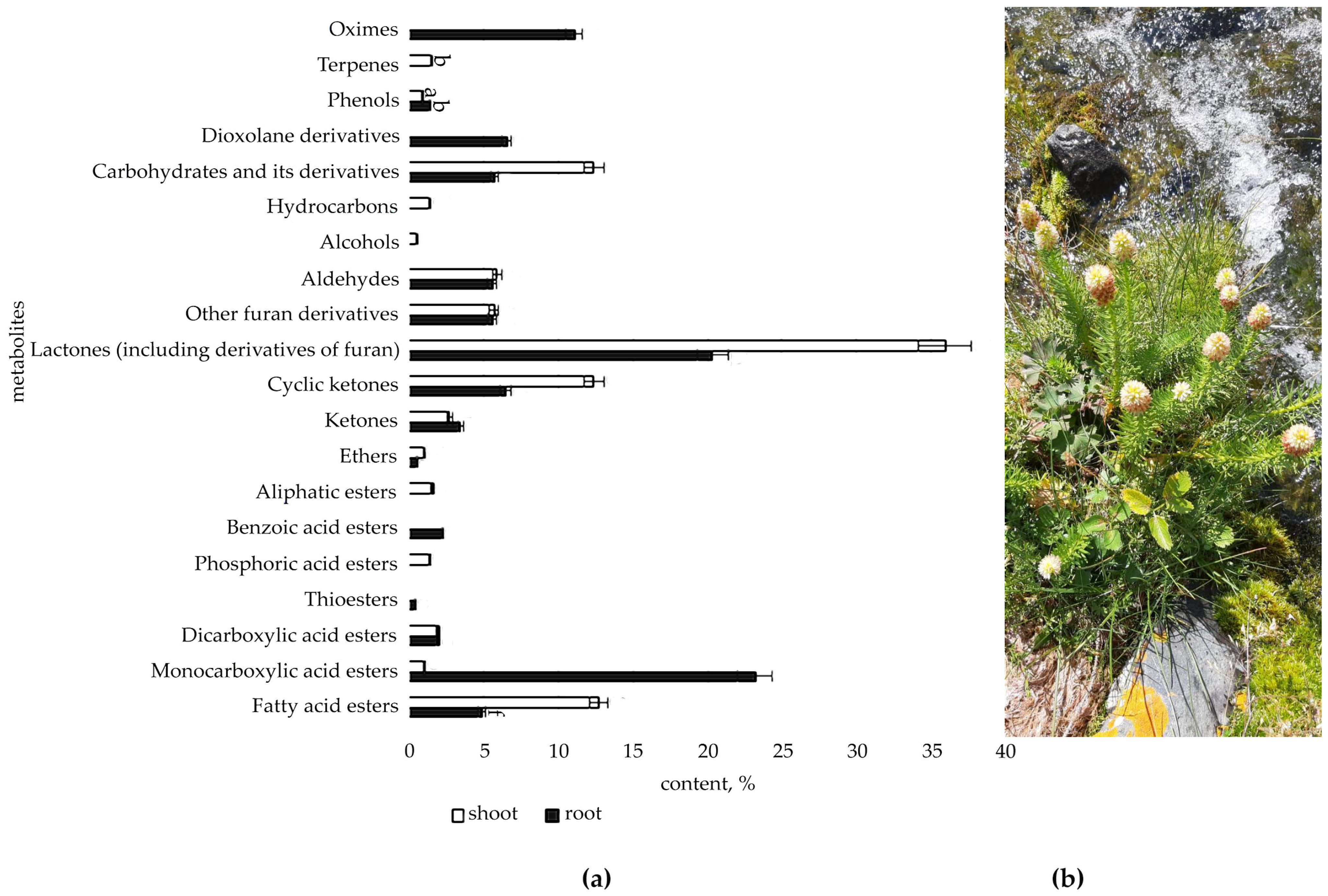 Metabolites 12 00622 g002