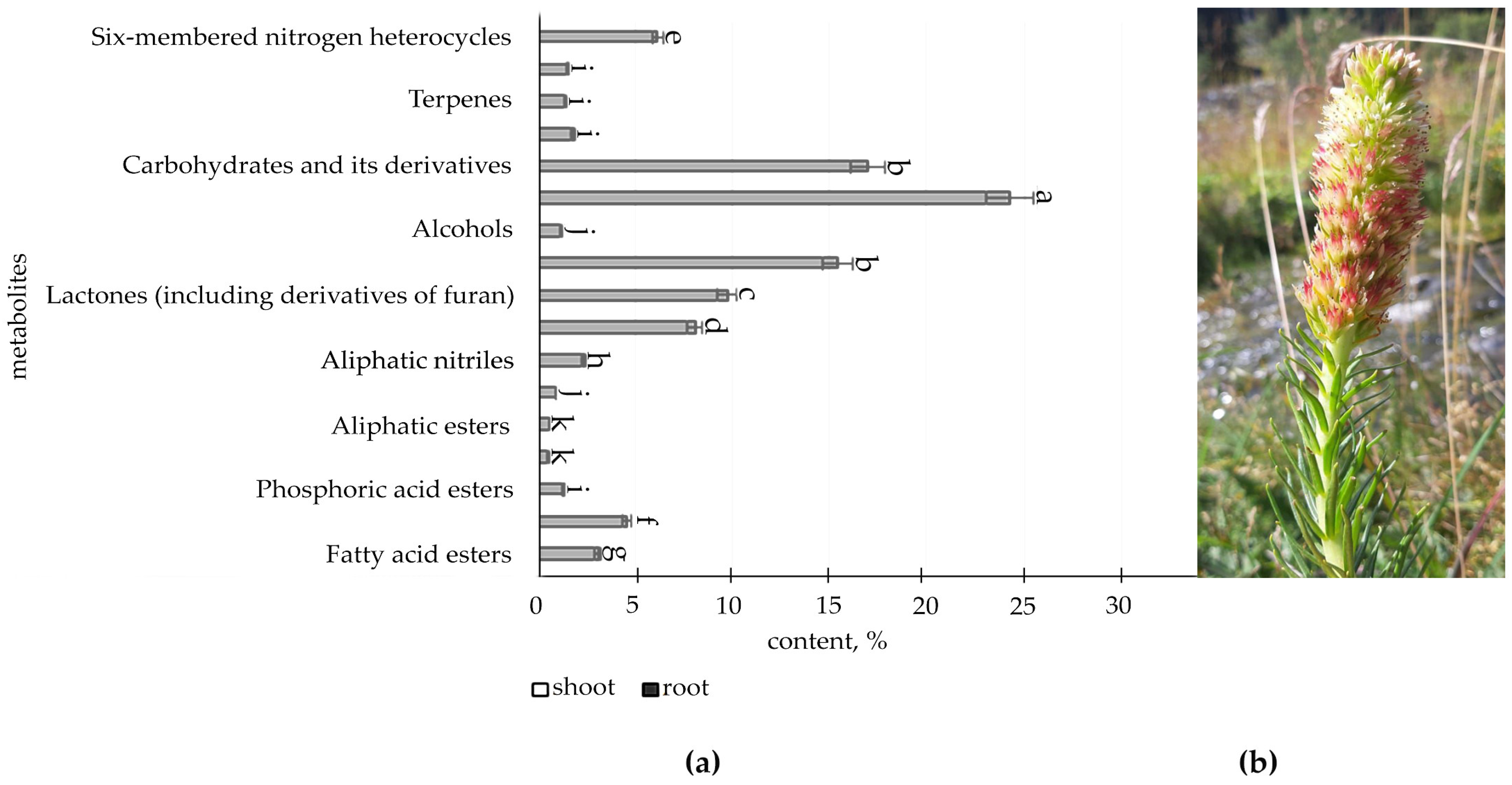 Metabolites 12 00622 g003