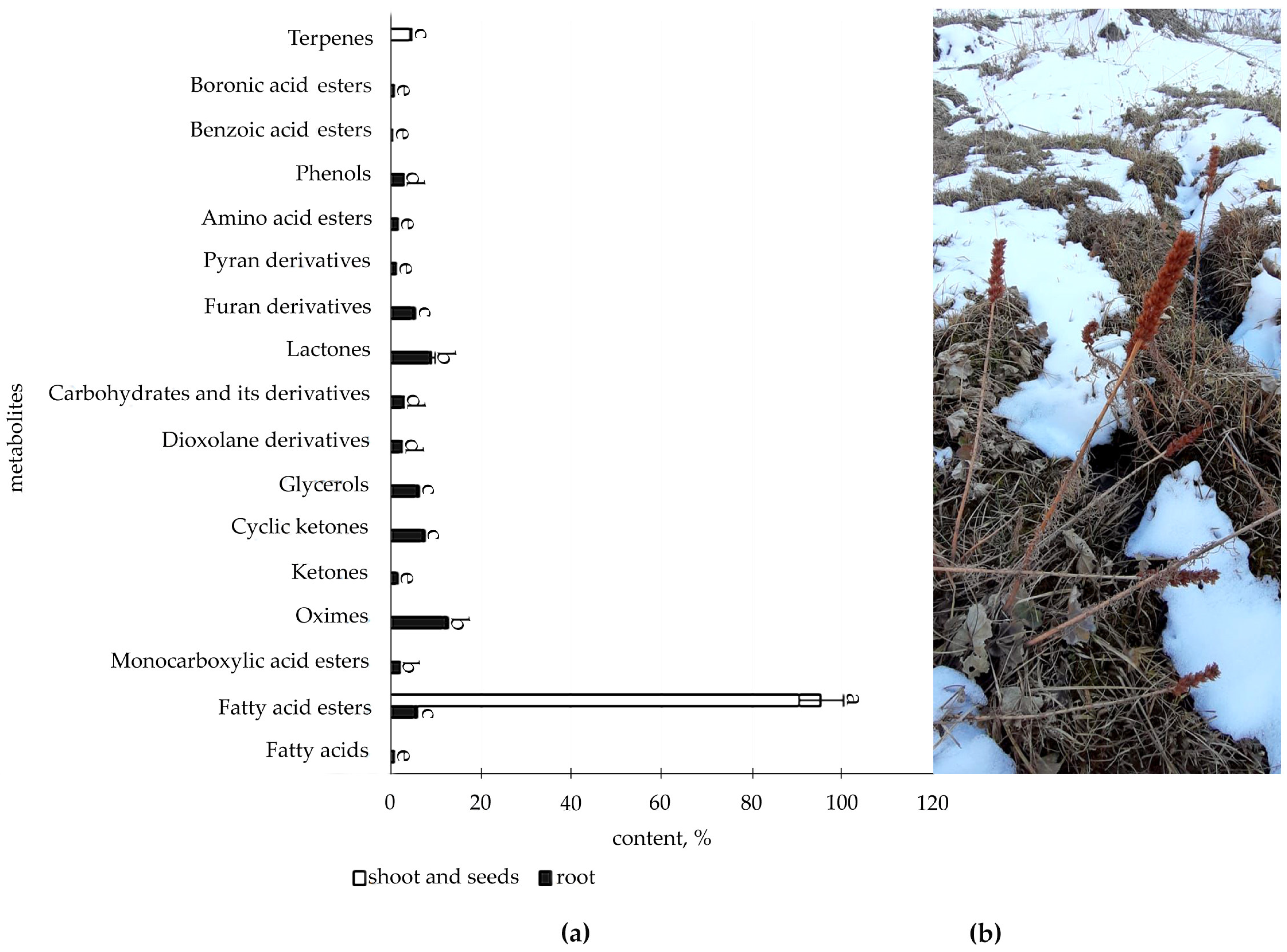 Metabolites 12 00622 g004