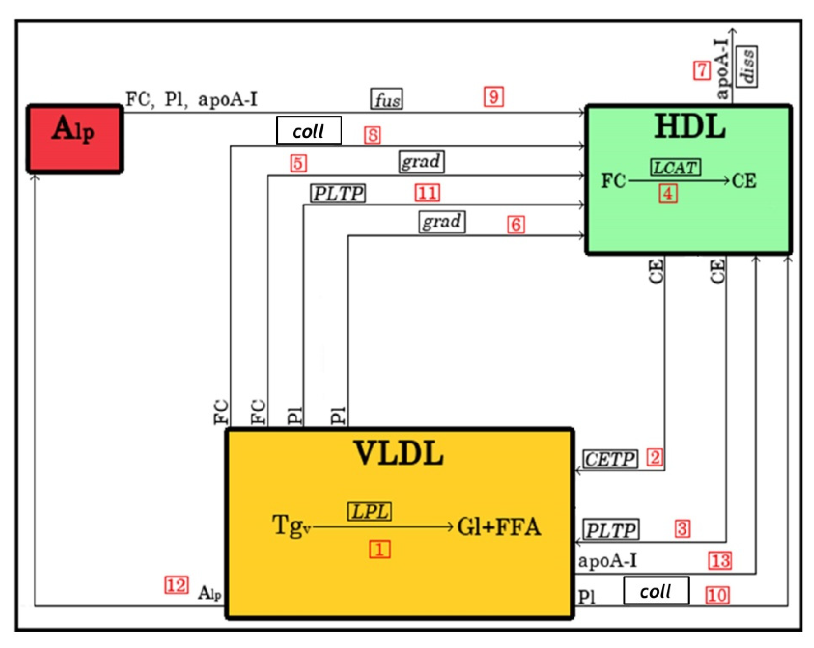 Metabolites 12 00623 g009 Metabolites 12 00623 g009