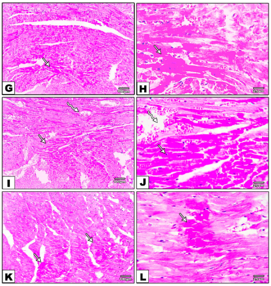 Metabolites 12 00635 g003b