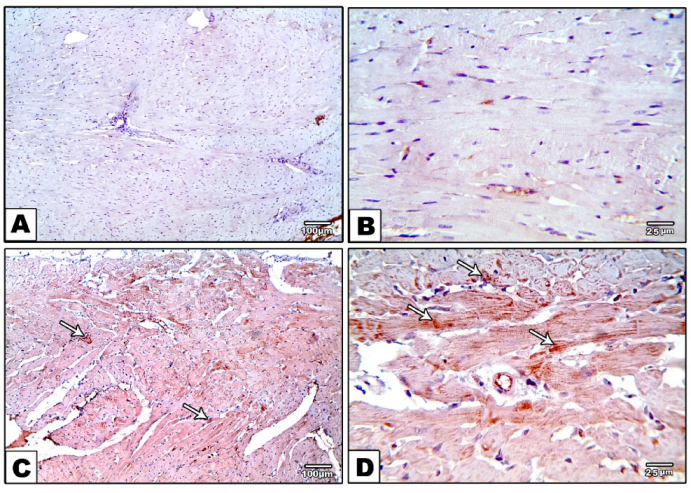 Metabolites 12 00635 g005a