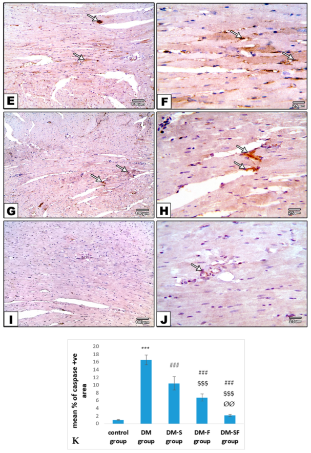 Metabolites 12 00635 g005b