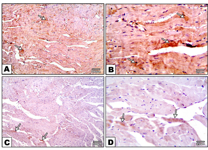 Metabolites 12 00635 g006a