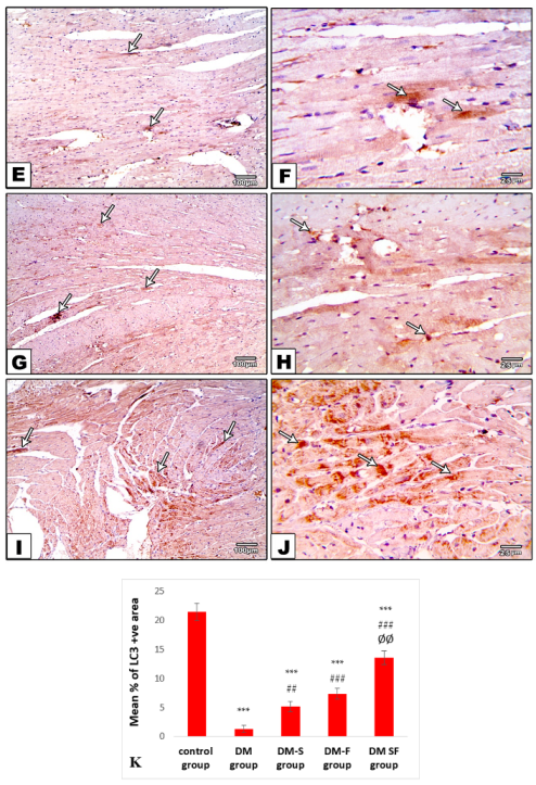 Metabolites 12 00635 g006b
