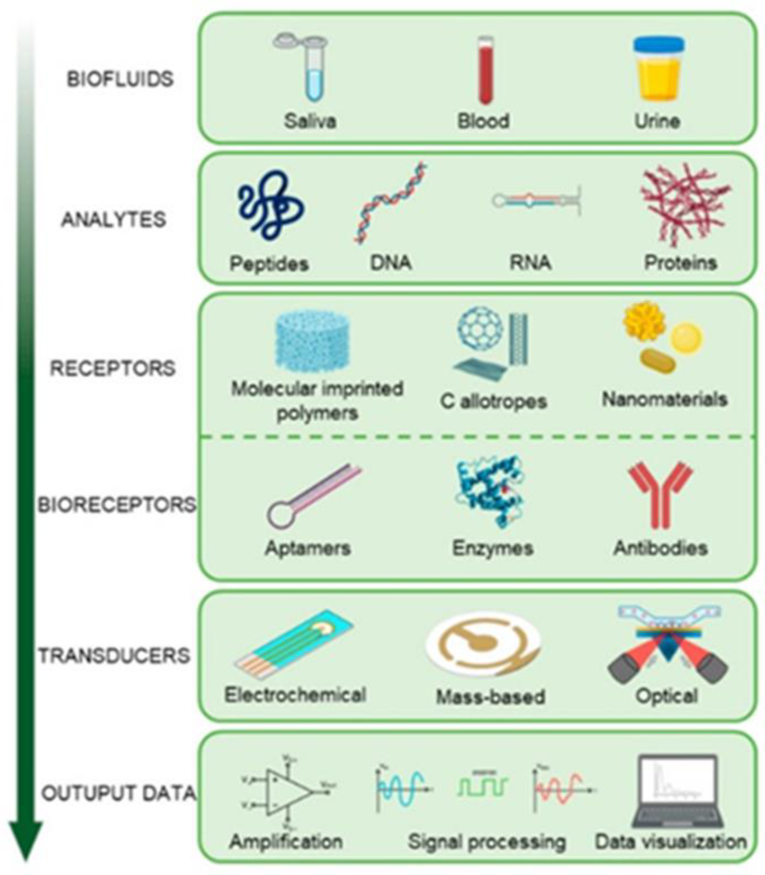 Metabolites 12 00638 g002