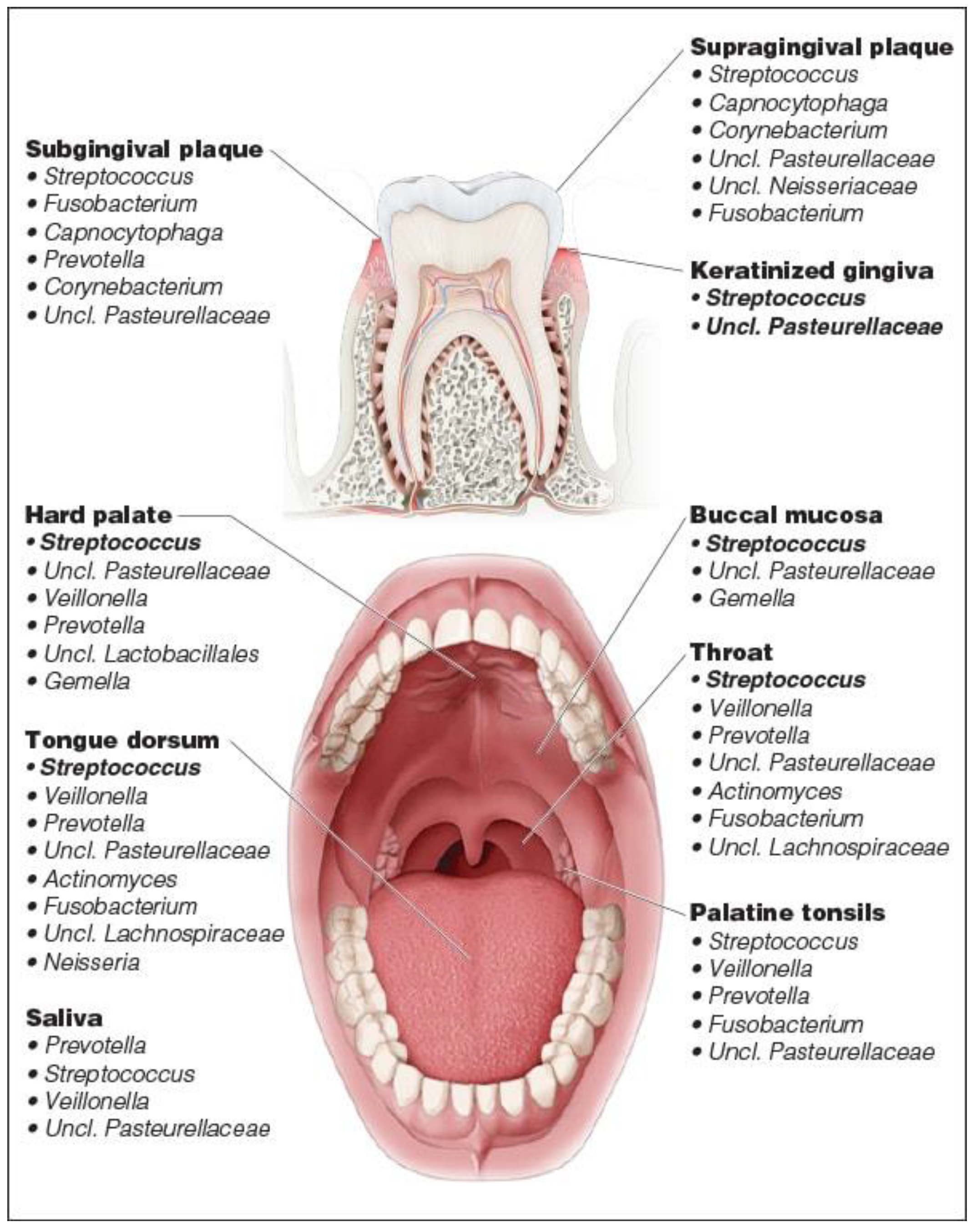 Metabolites 12 00638 g003