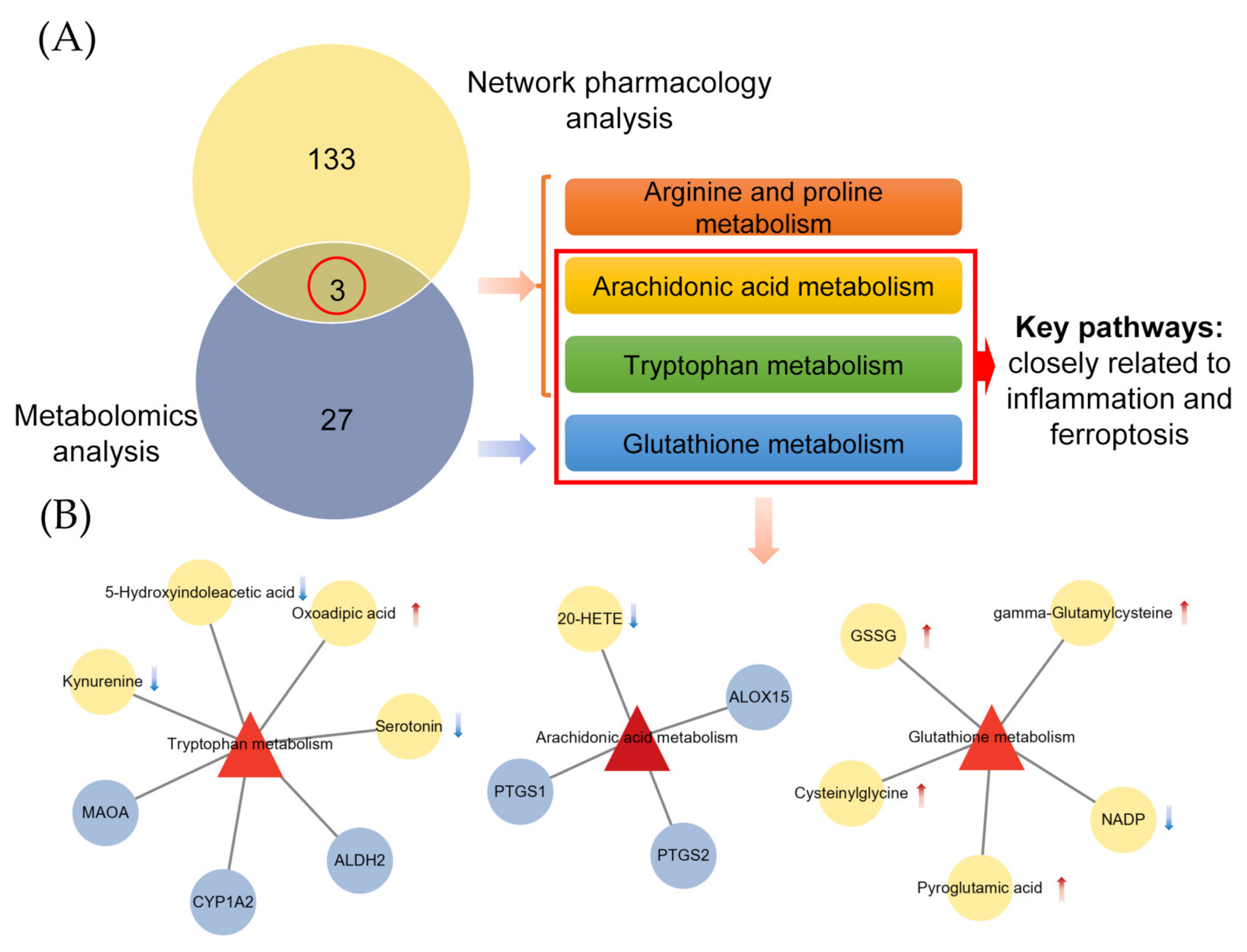 Metabolites 12 00653 g004