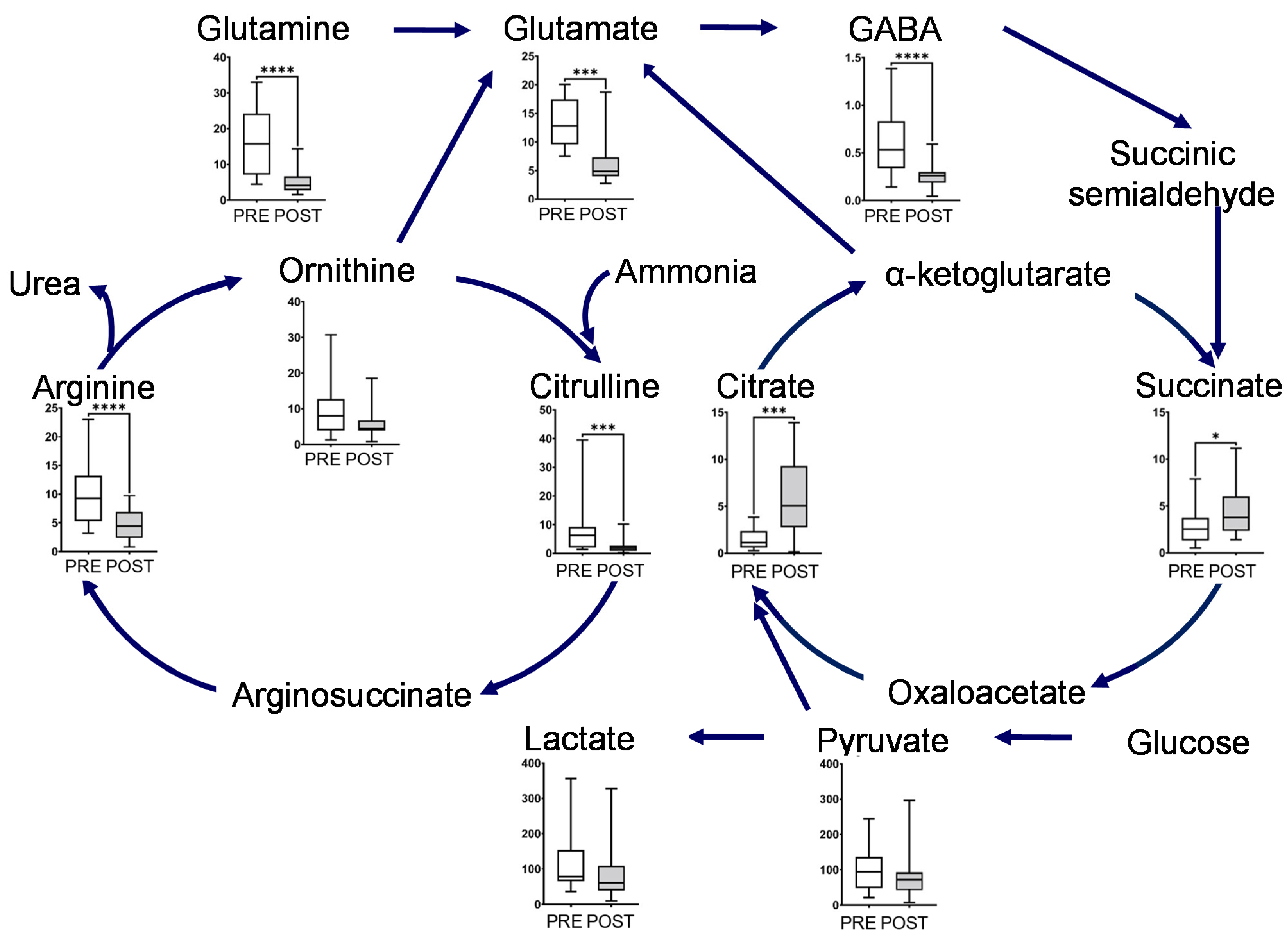 Metabolites 12 00660 g003
