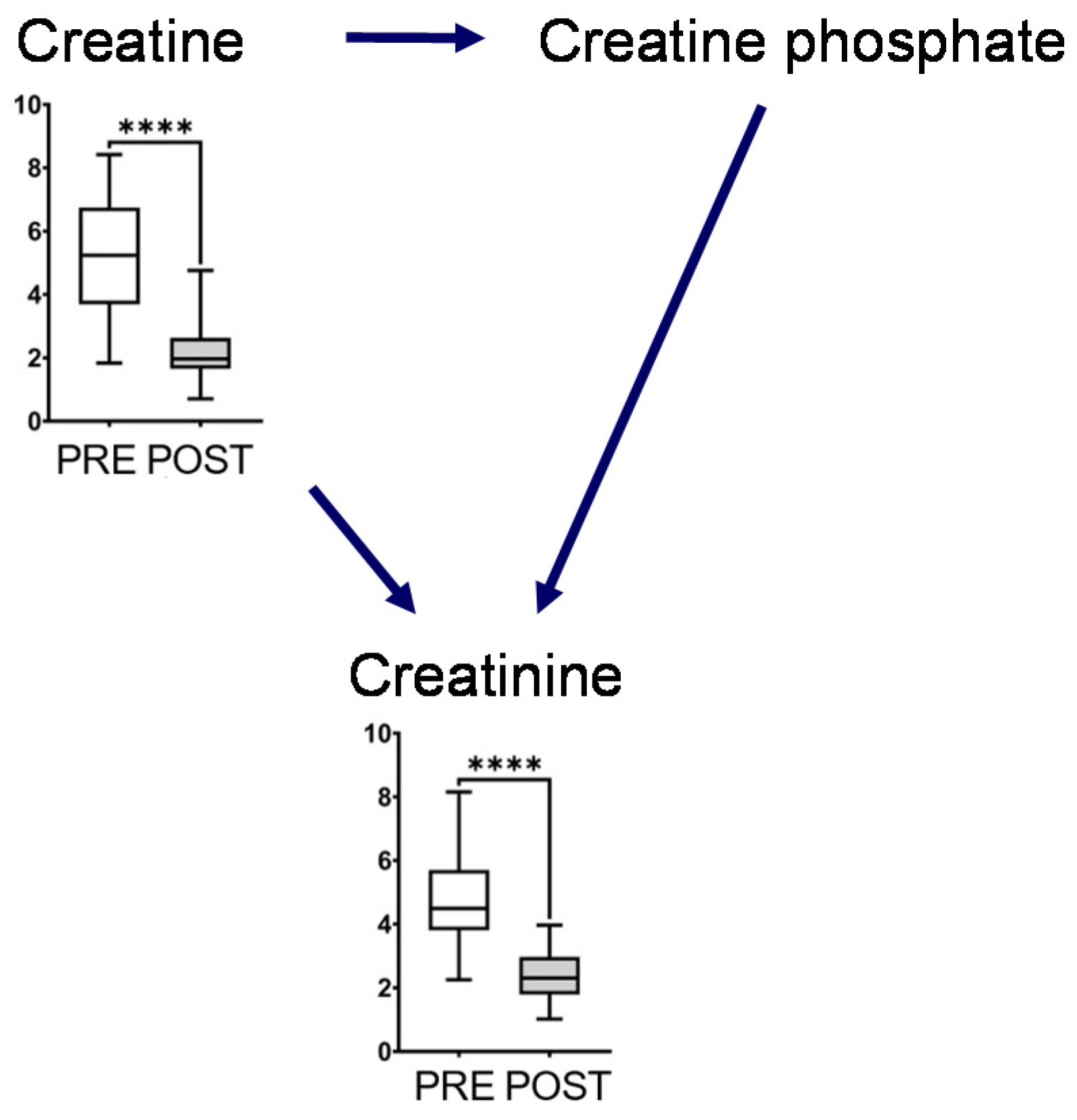 Metabolites 12 00660 g004