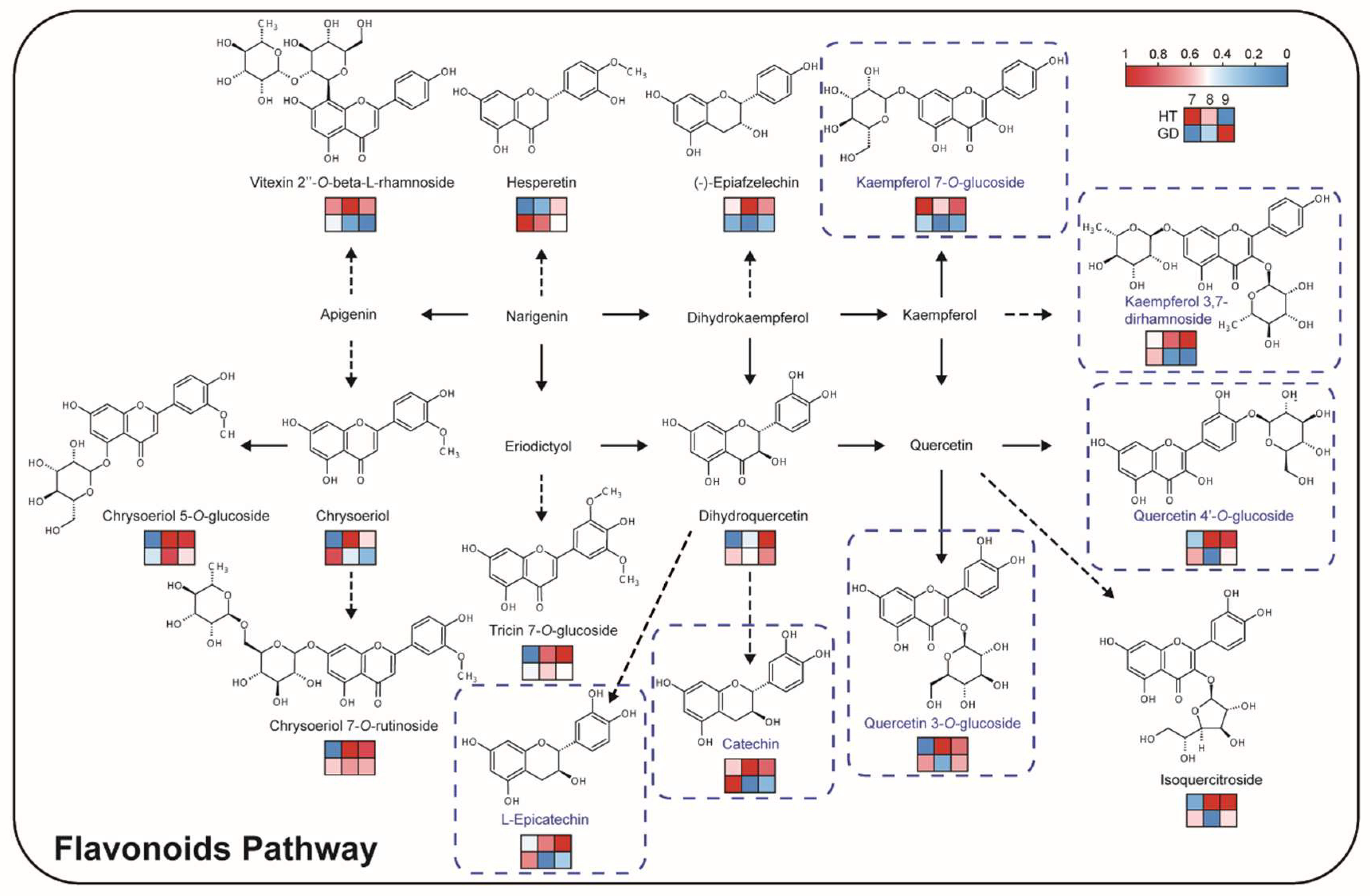 Metabolites 12 00691 g005