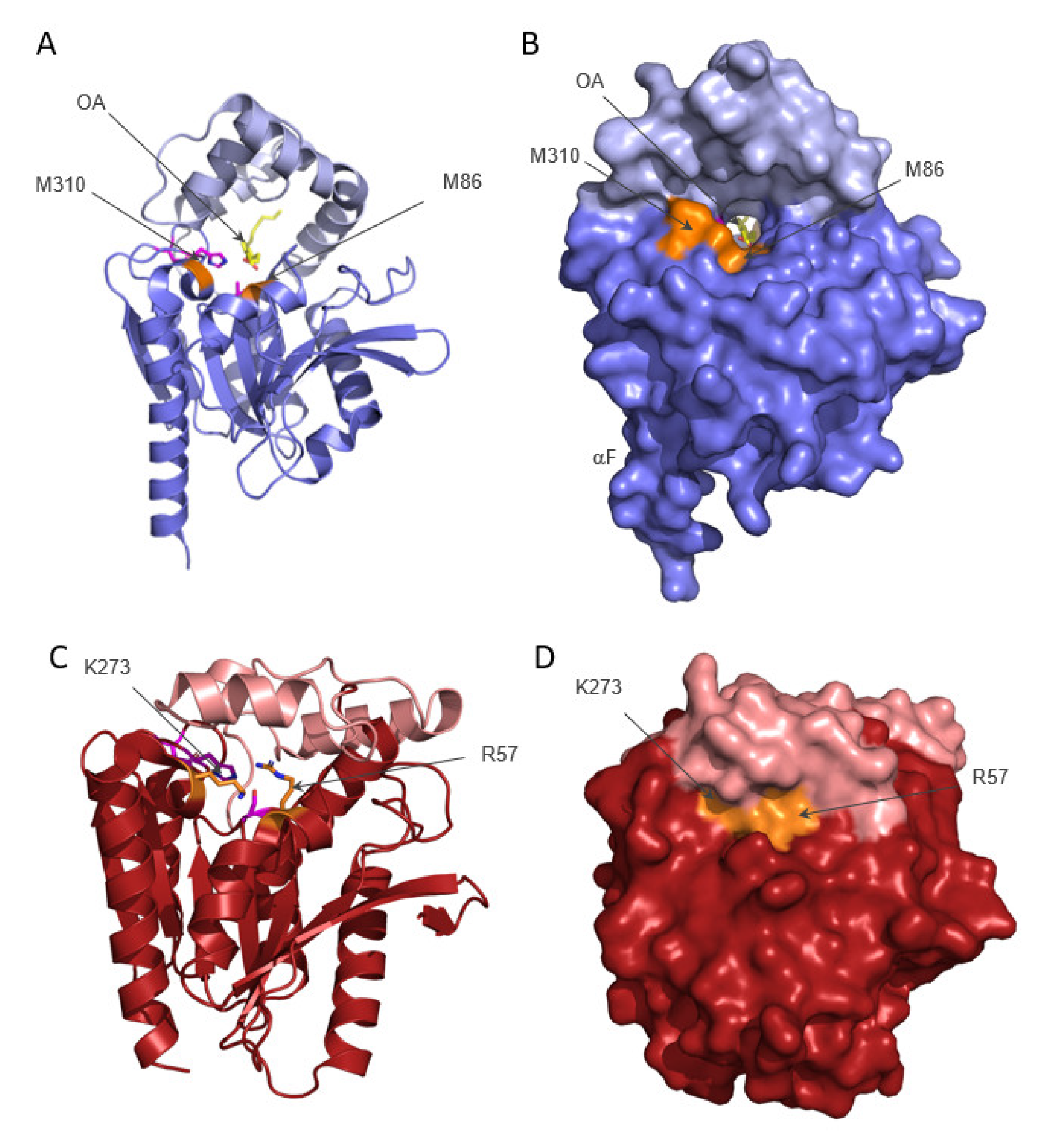 Metabolites 12 00761 g002