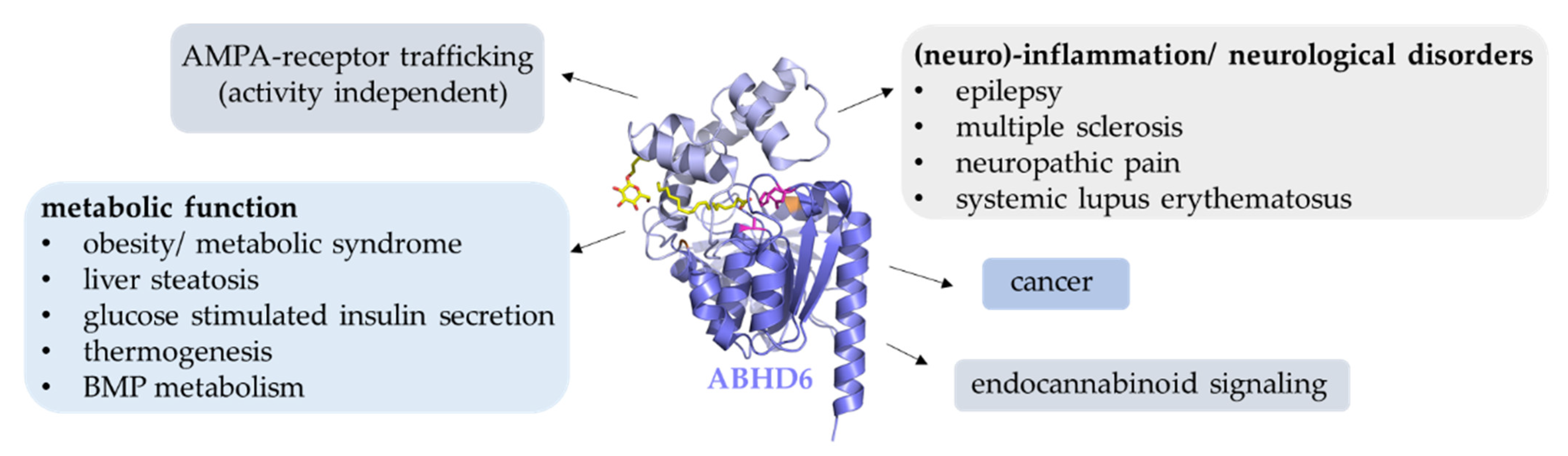 Metabolites 12 00761 g006