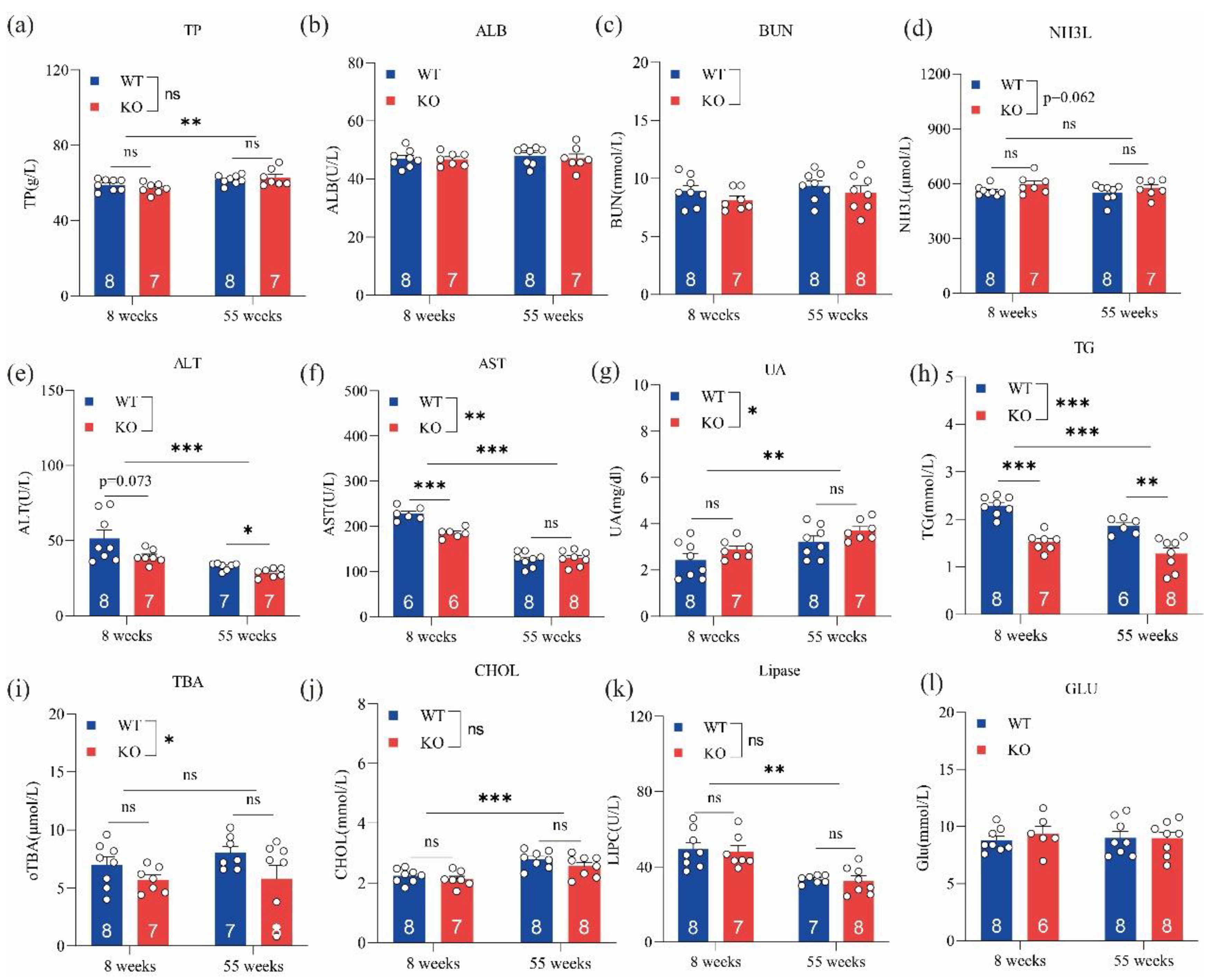 Metabolites 12 00776 g002