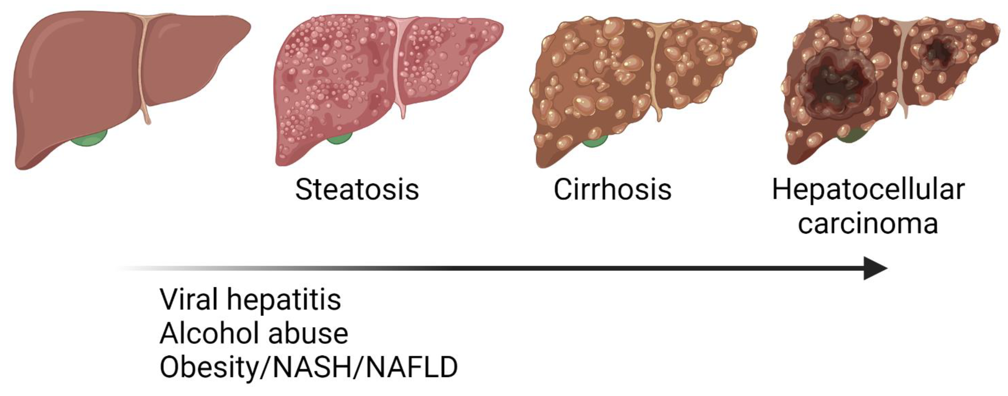 Metabolites 12 00779 g001