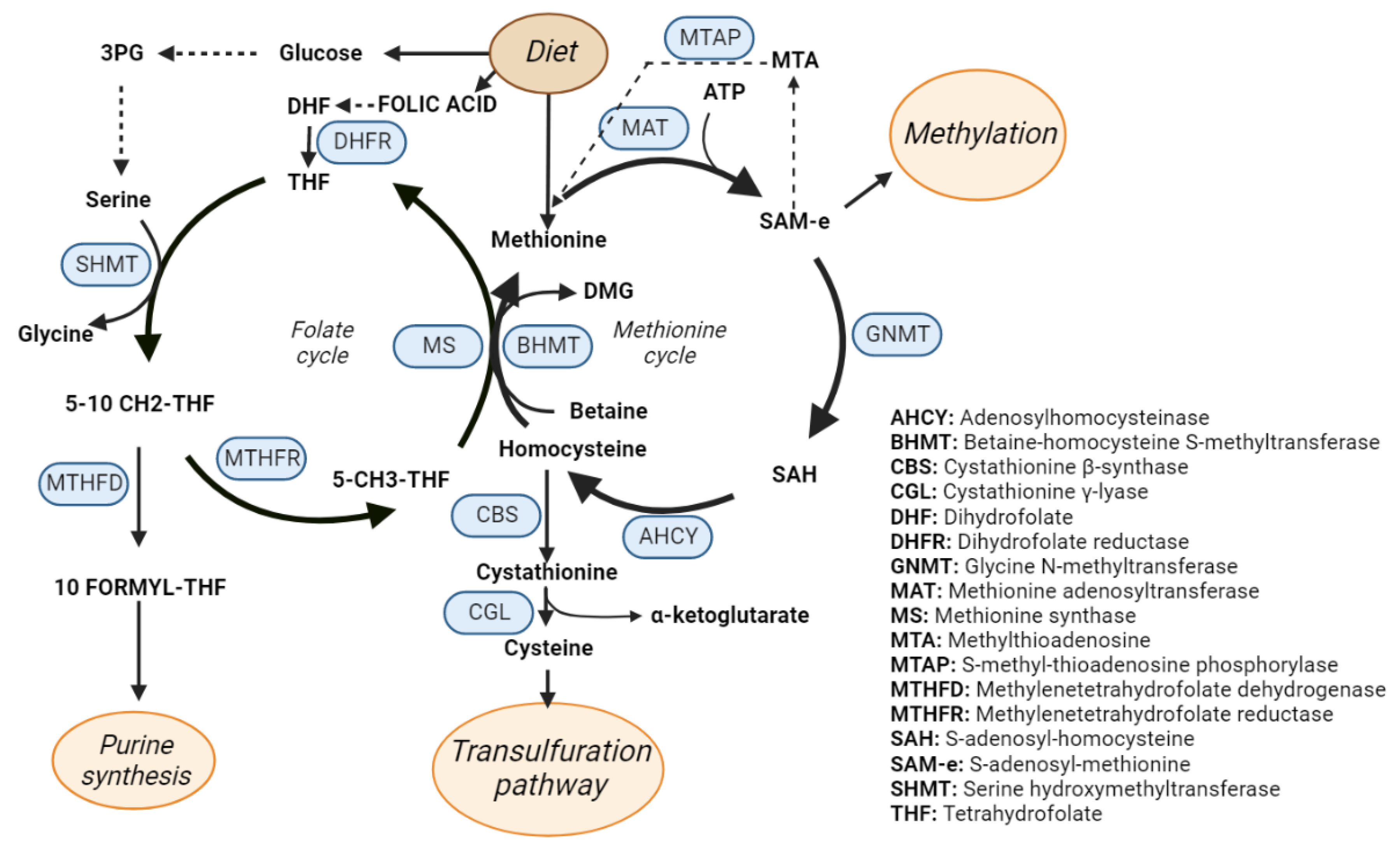 Metabolites 12 00779 g003