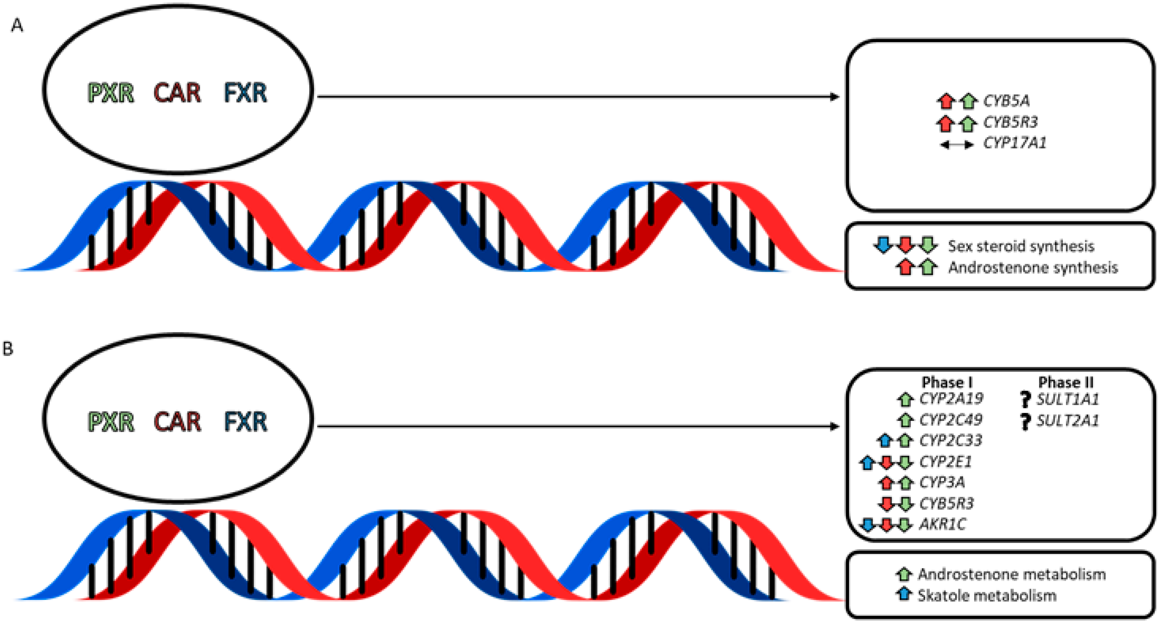 Metabolites 12 00785 g001