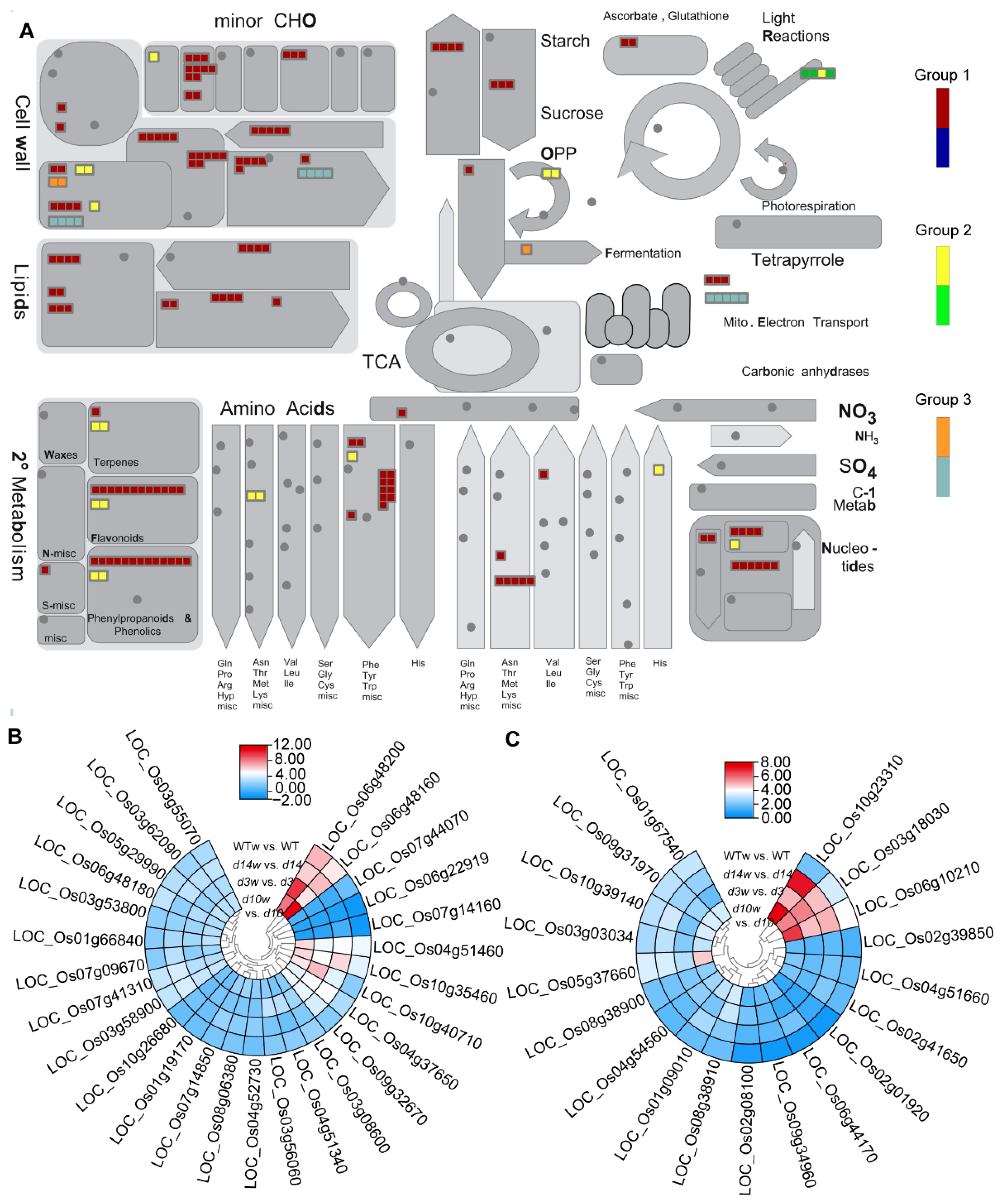 Metabolites 12 00789 g006