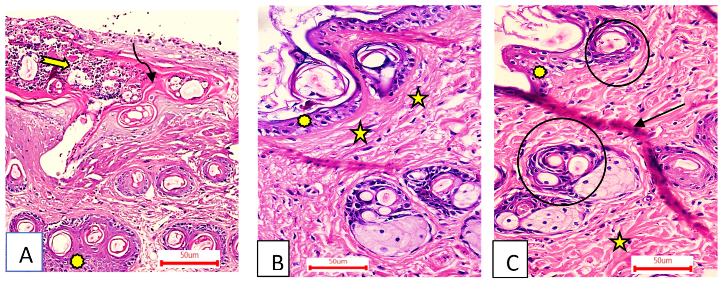 Metabolites 12 00791 g008