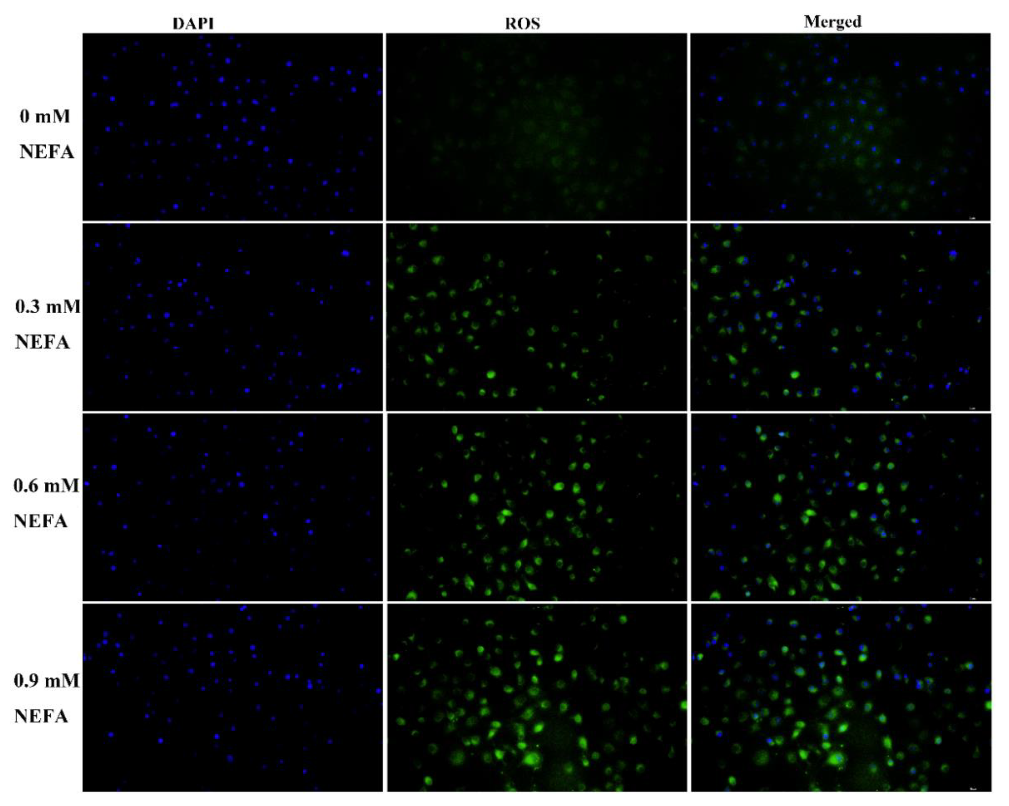 Metabolites 12 00803 g005