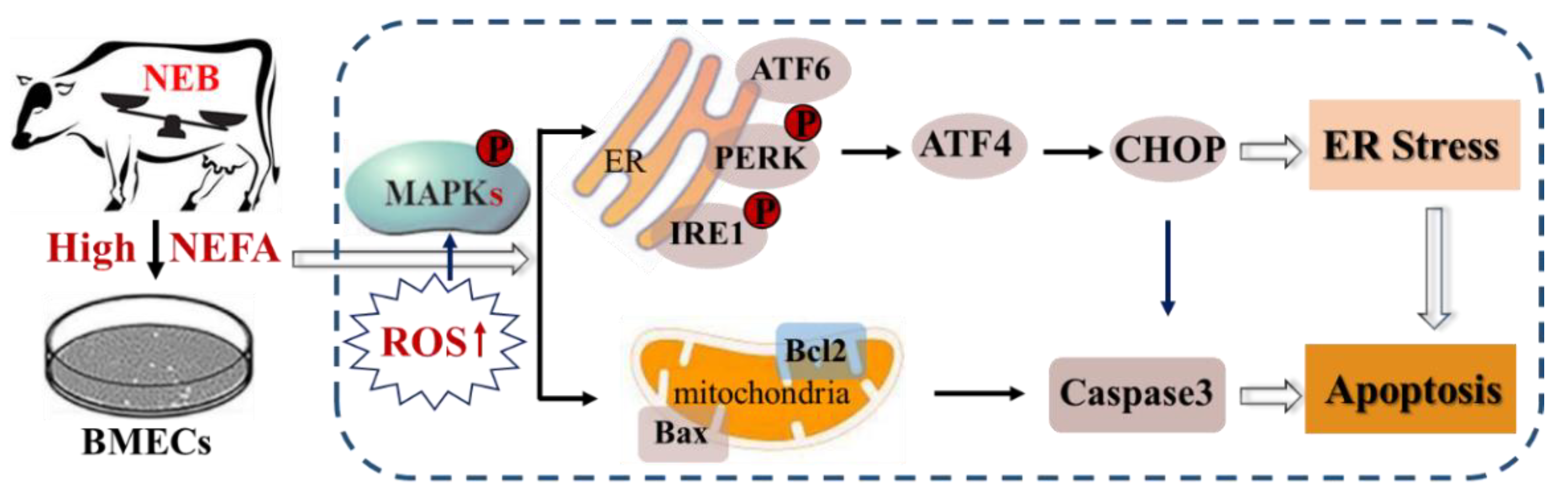 Metabolites 12 00803 g008