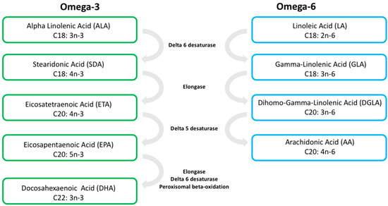 Metabolites | Free Full-Text | A Review of Oxylipins in Alzheimer&rsquo;s  Disease and Related Dementias (ADRD): Potential Therapeutic Targets for the  Modulation of Vascular Tone and Inflammation