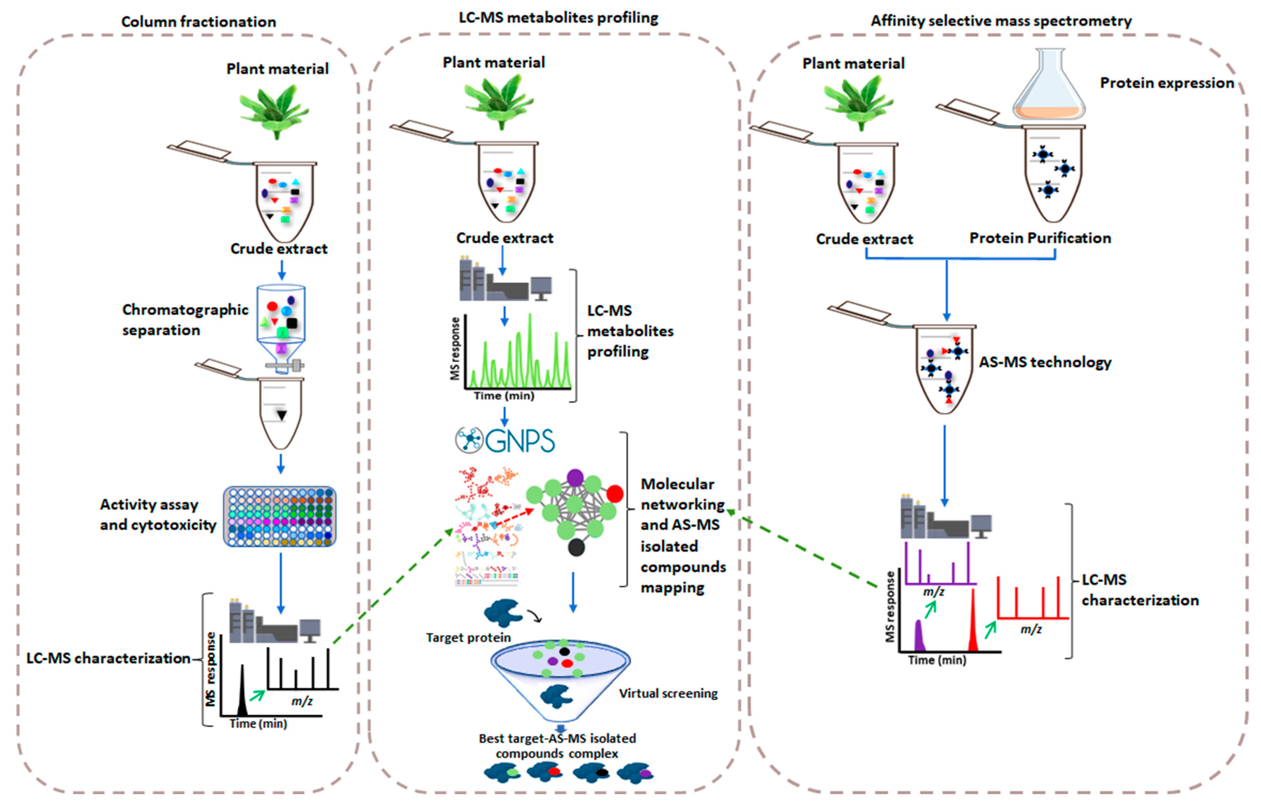 Detection and Activity Profiling of Synthetic Cannabinoids and Their  Metabolites with a Newly Developed Bioassay