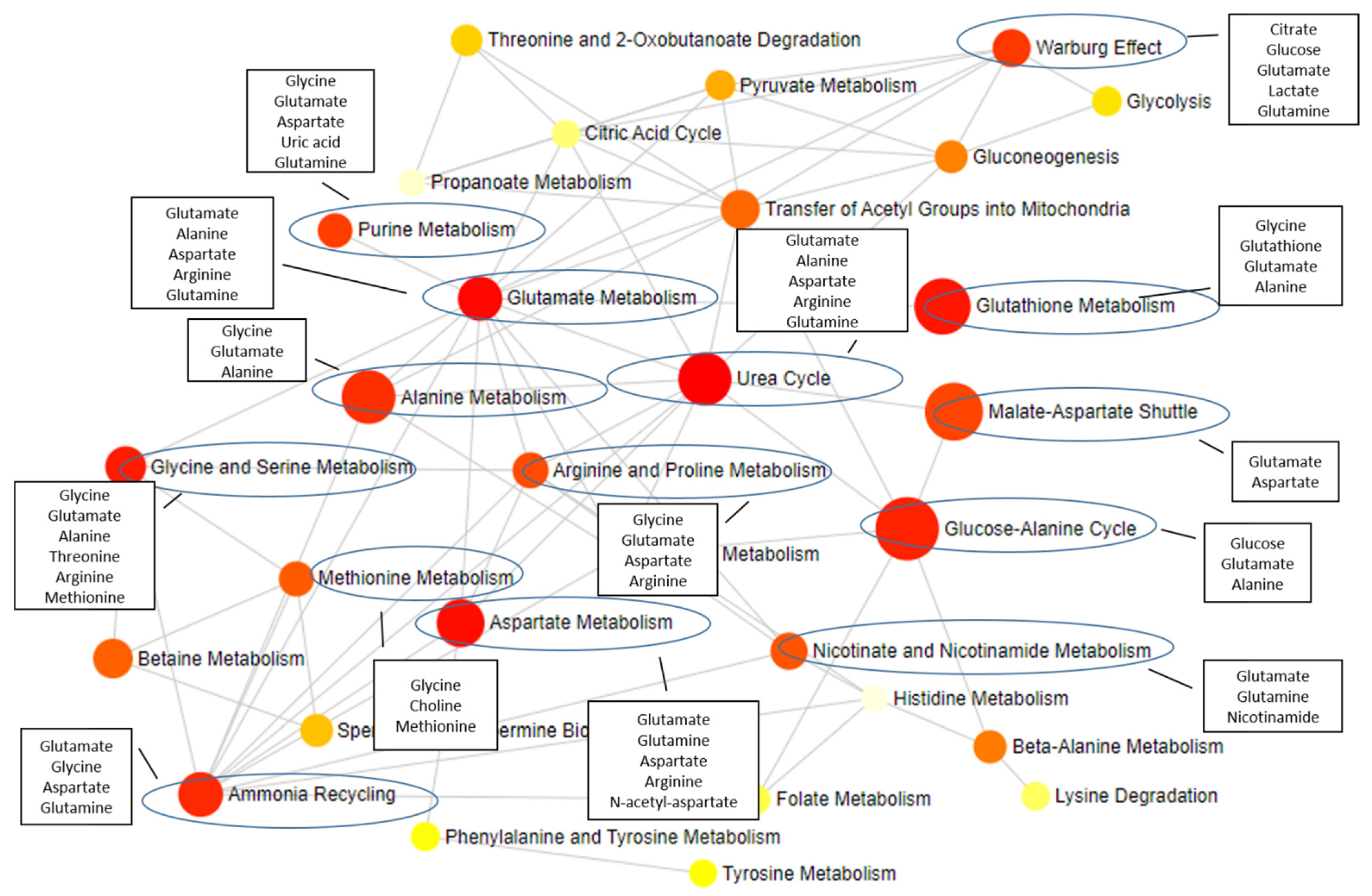 Metabolites 12 00864 g002