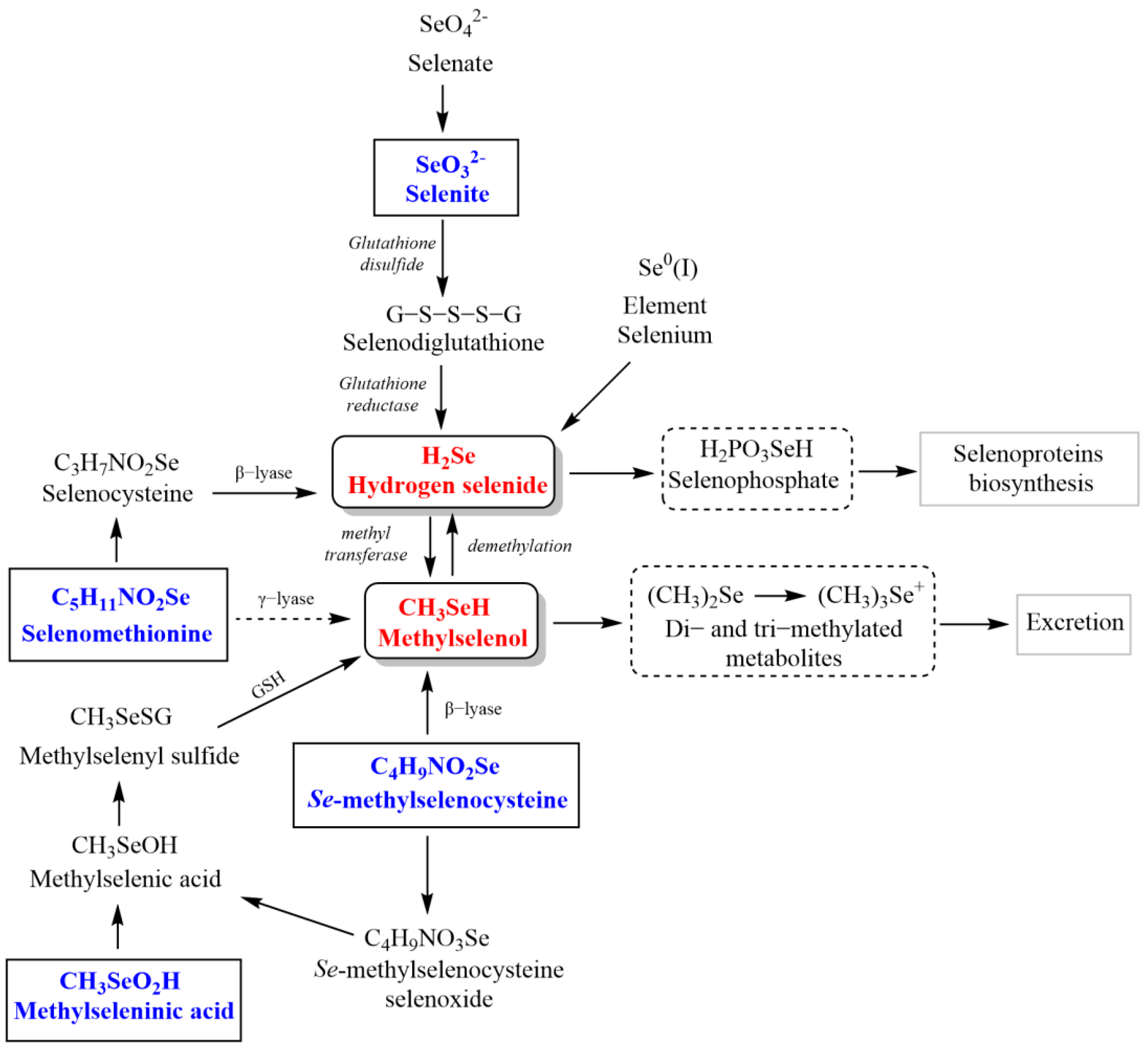 Metabolites 12 00874 g002 Metabolites 12 00874 g002