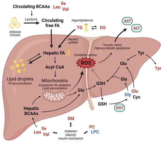 Metabolites | Free Full-Text | Association of Metabolic Signatures with ...